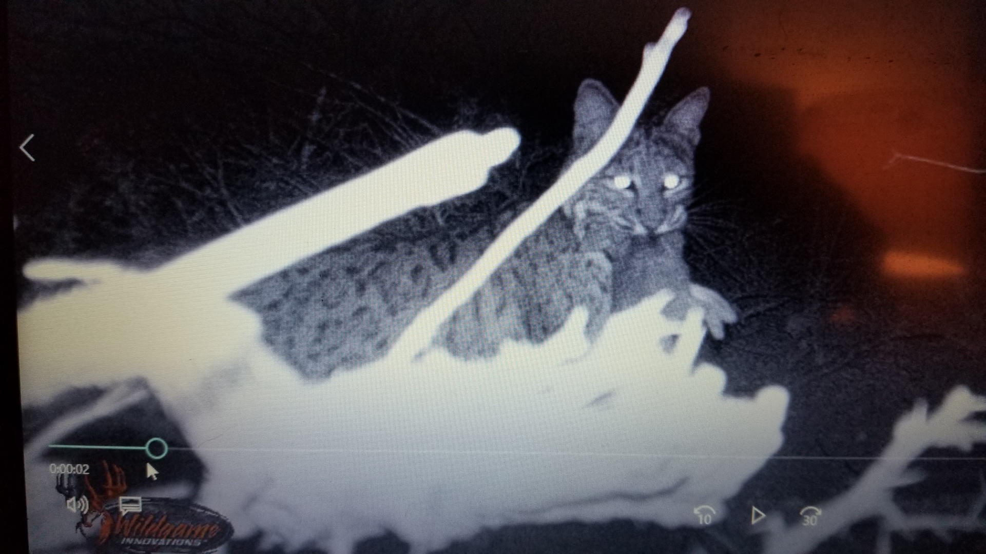 Rustic camp on the Mexican border