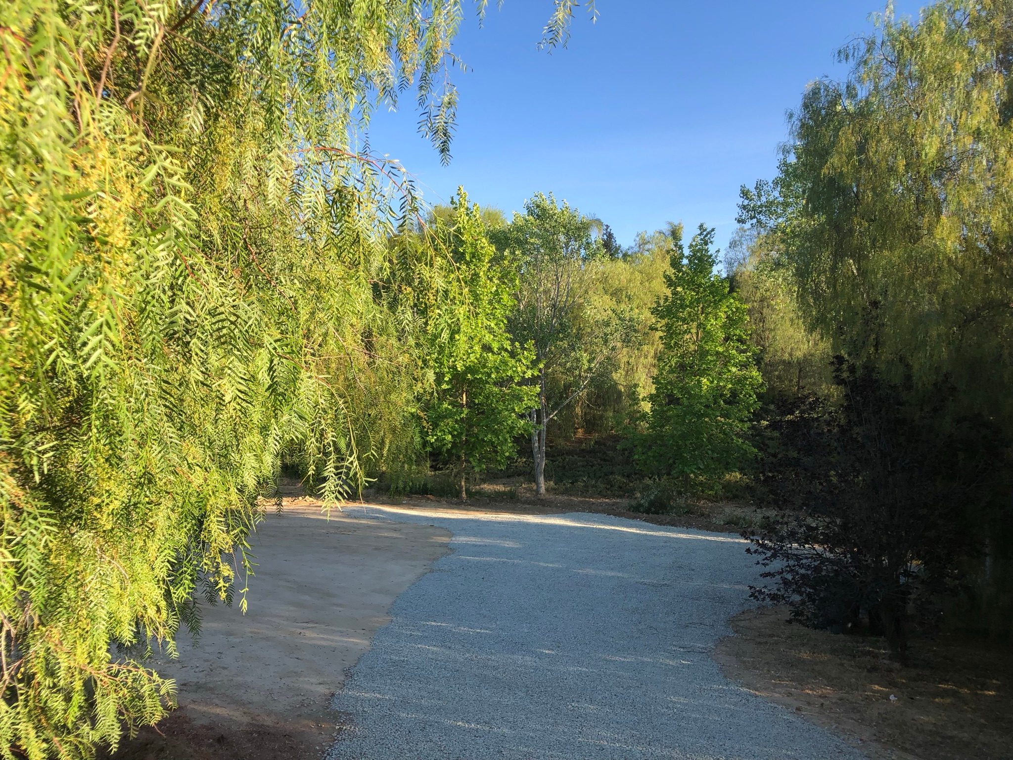 Plenty of tall trees envelop the parcel, including Big Leaf Maple, Black Cottonwood, and California Pepper Trees.   