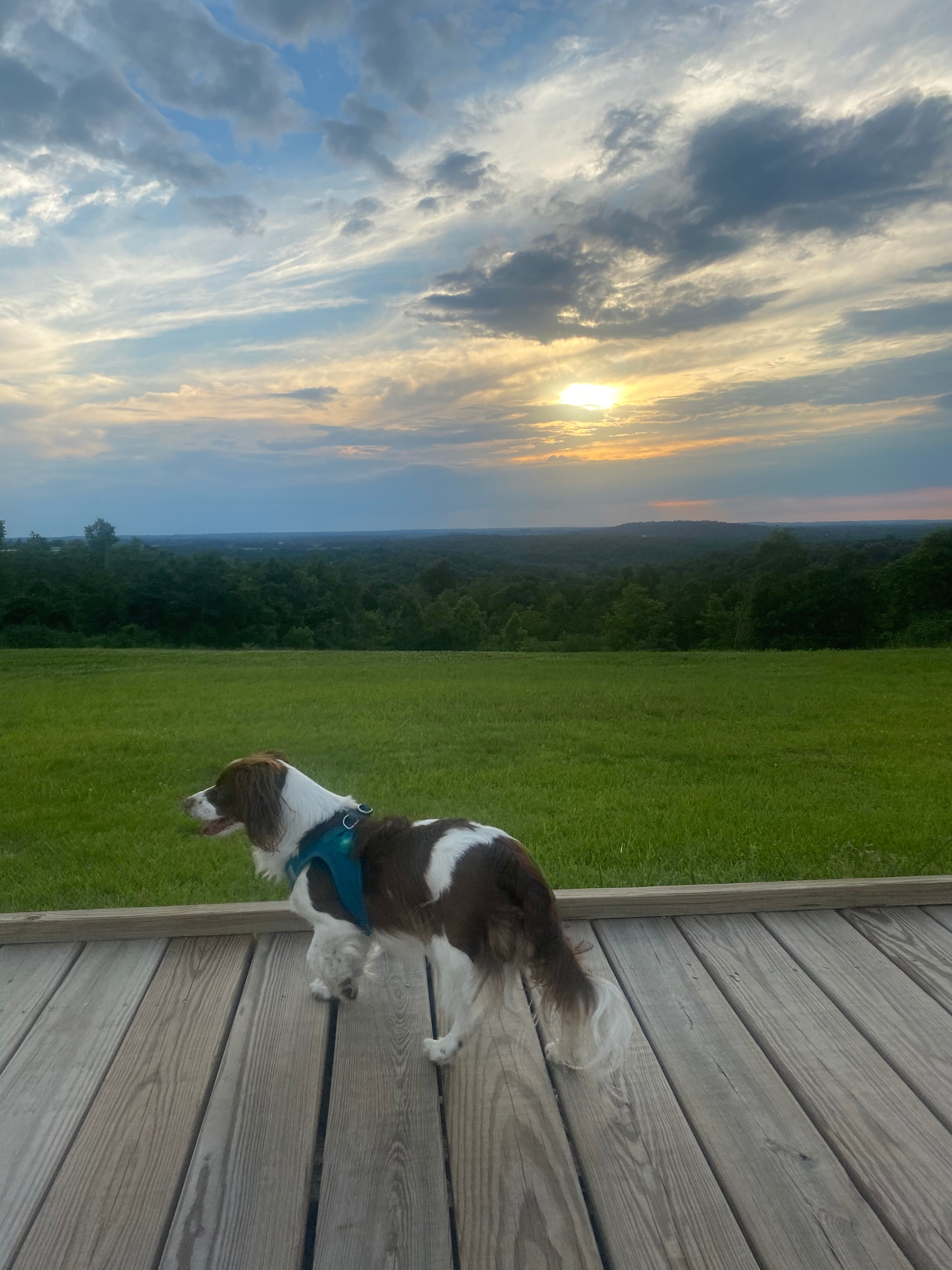 Platform with sunset views. 