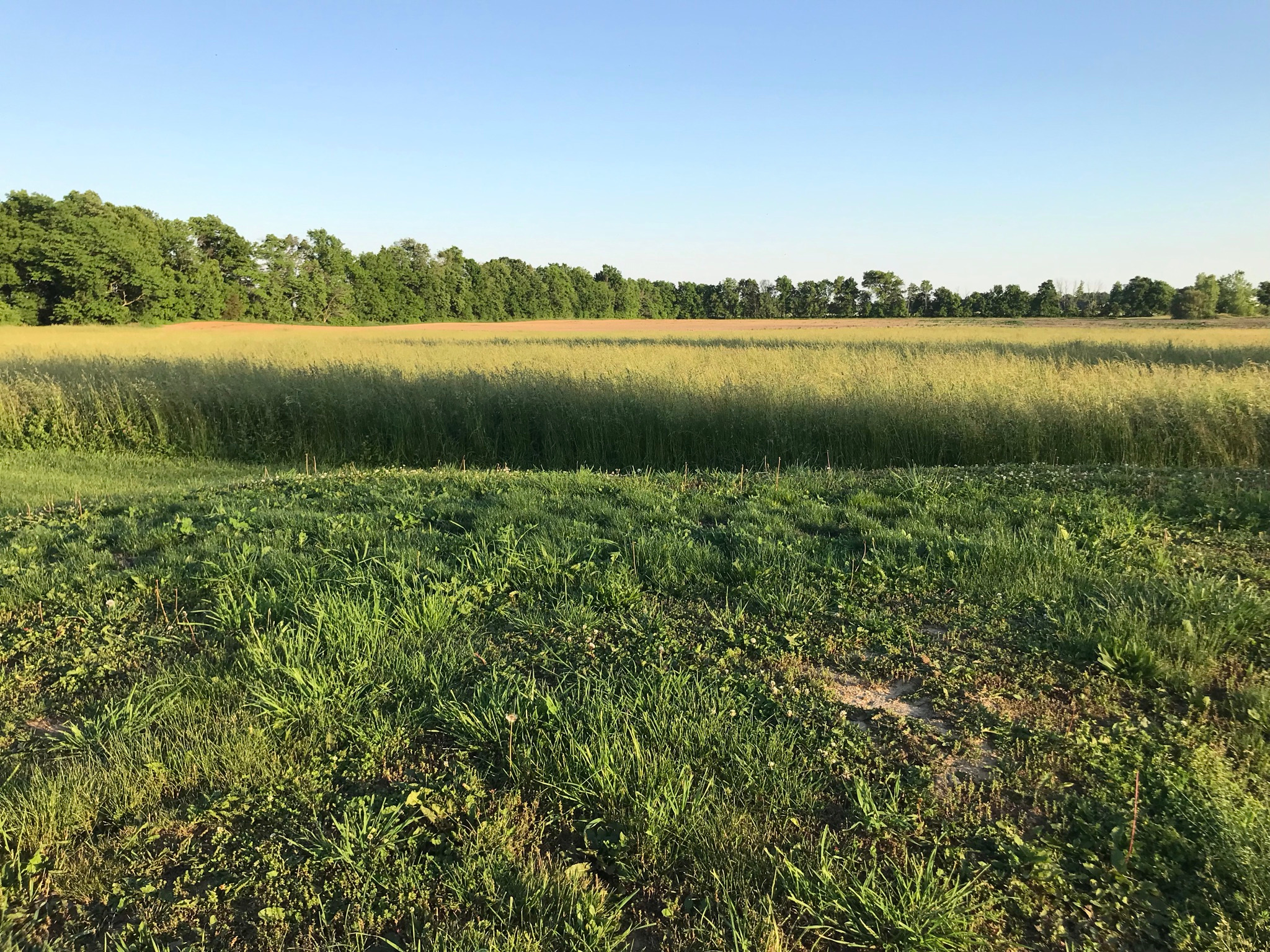 Havendell Farm and Wayside