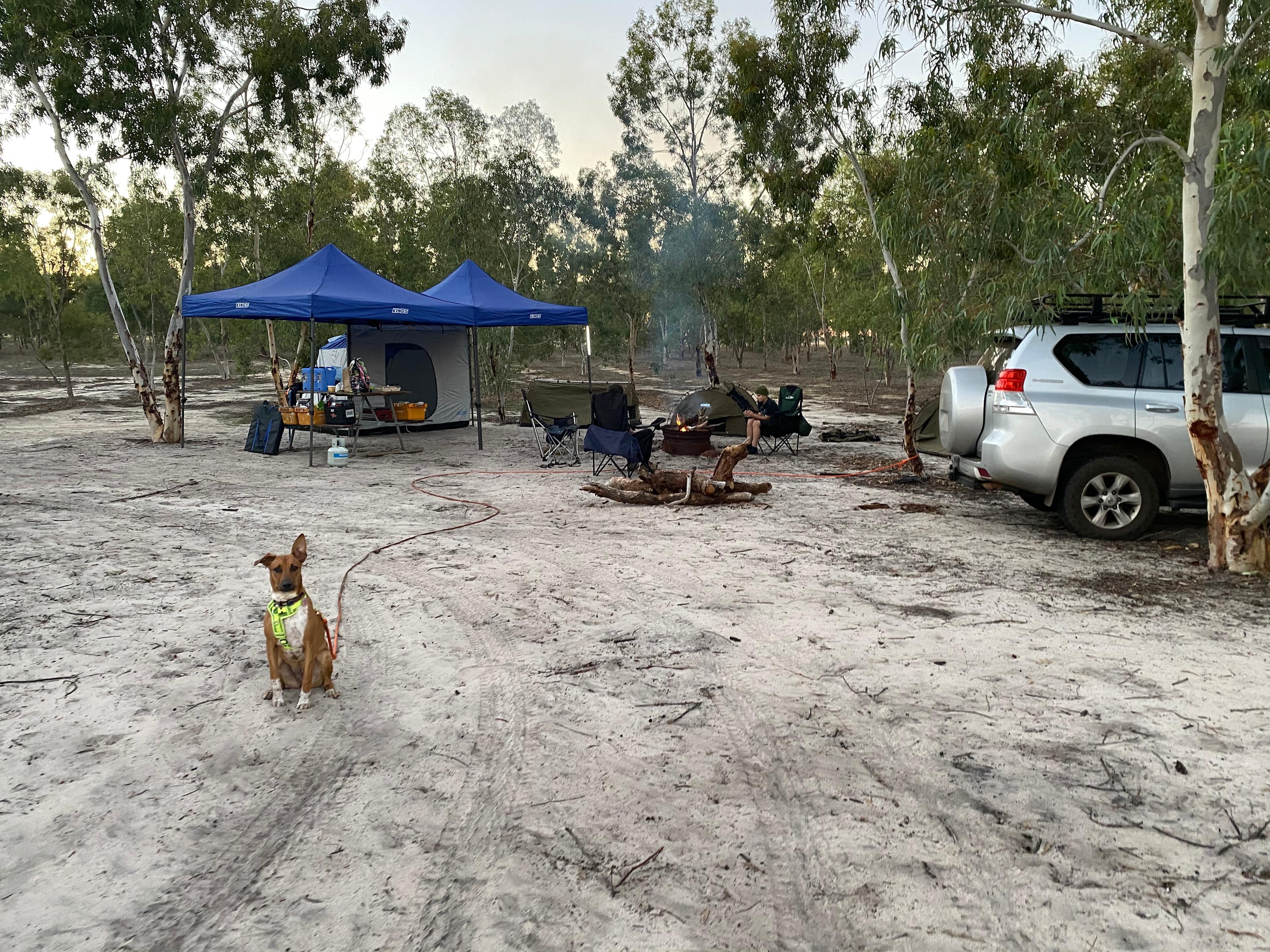 Large open campsite with a shovel and rake for the supplied fire pit (wood kindly provided by hosts)