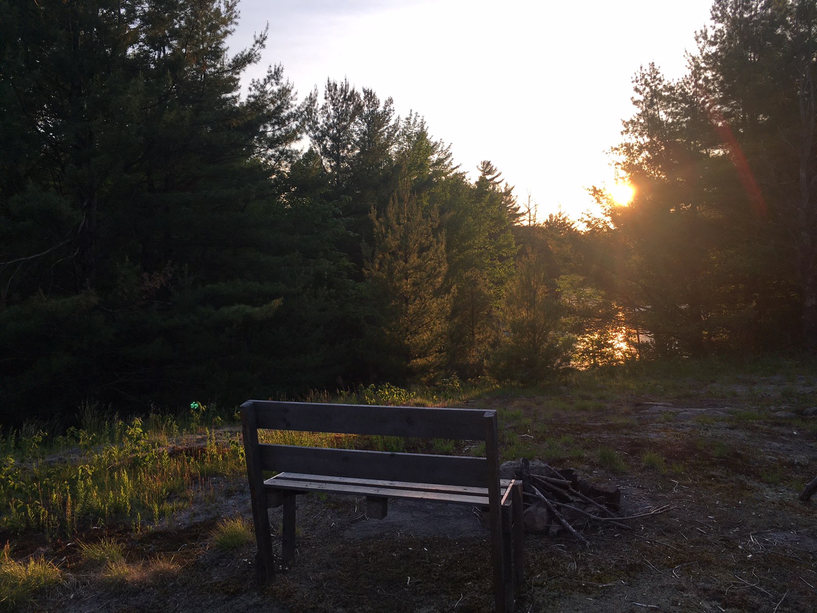 Looking NorthWest at sunset. Lake in background.