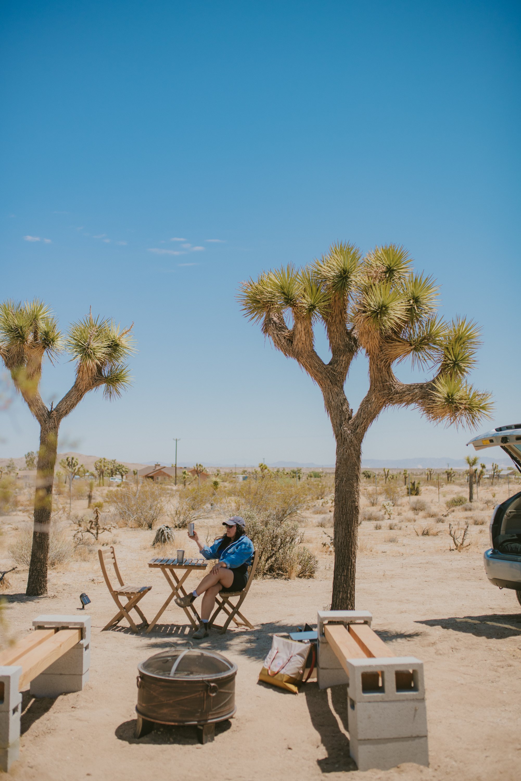 Hiding out in the bit of shade from the trees. 