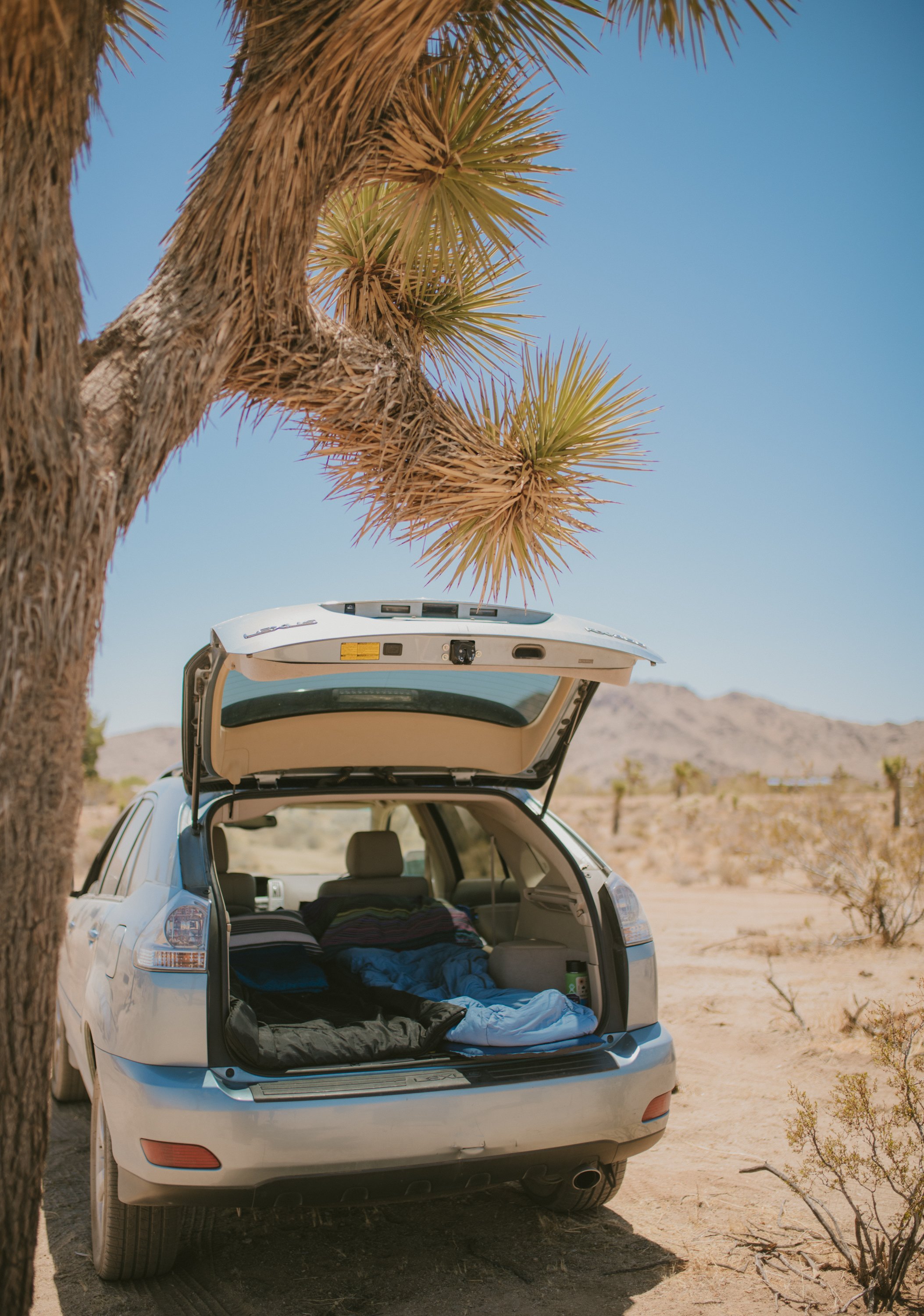 Our car camp set up.