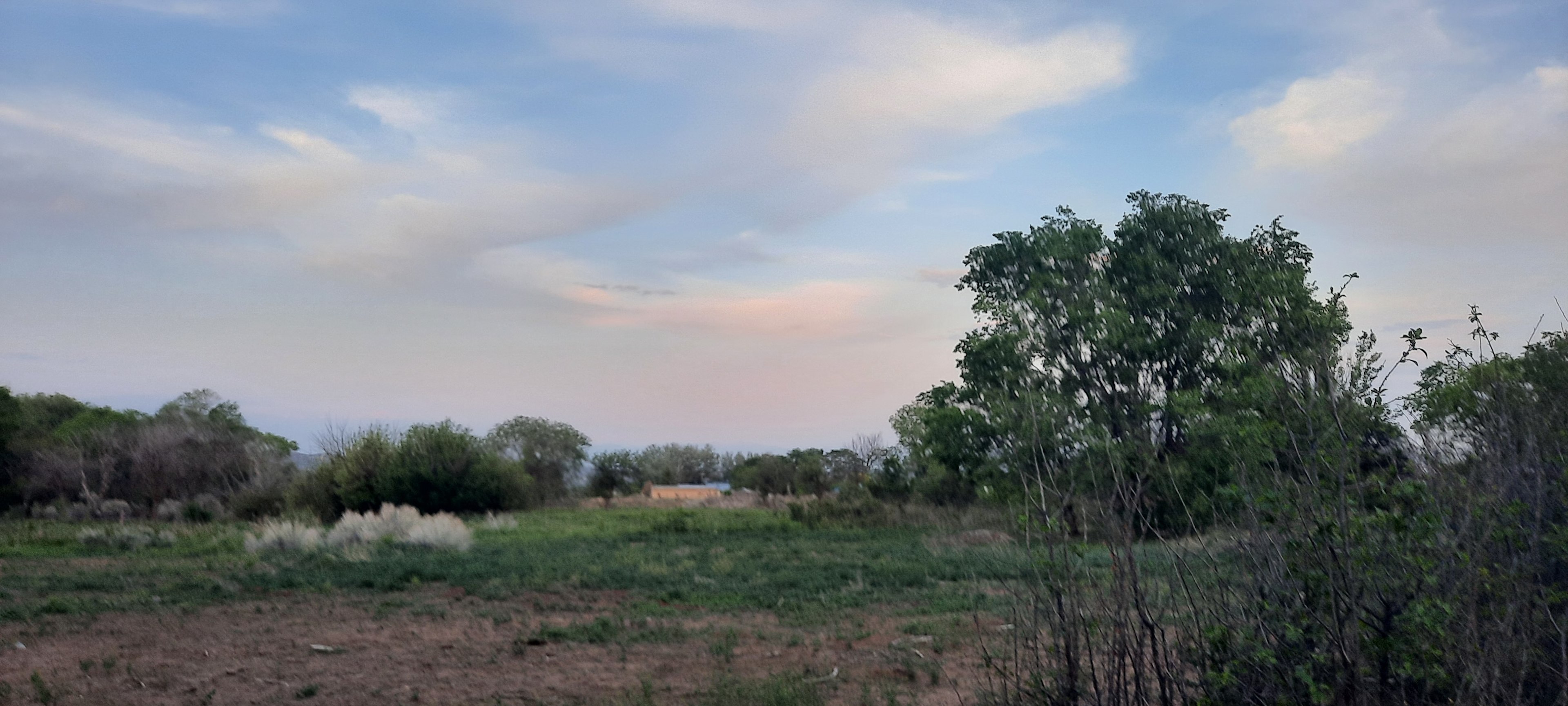 COUNTRY LIVING