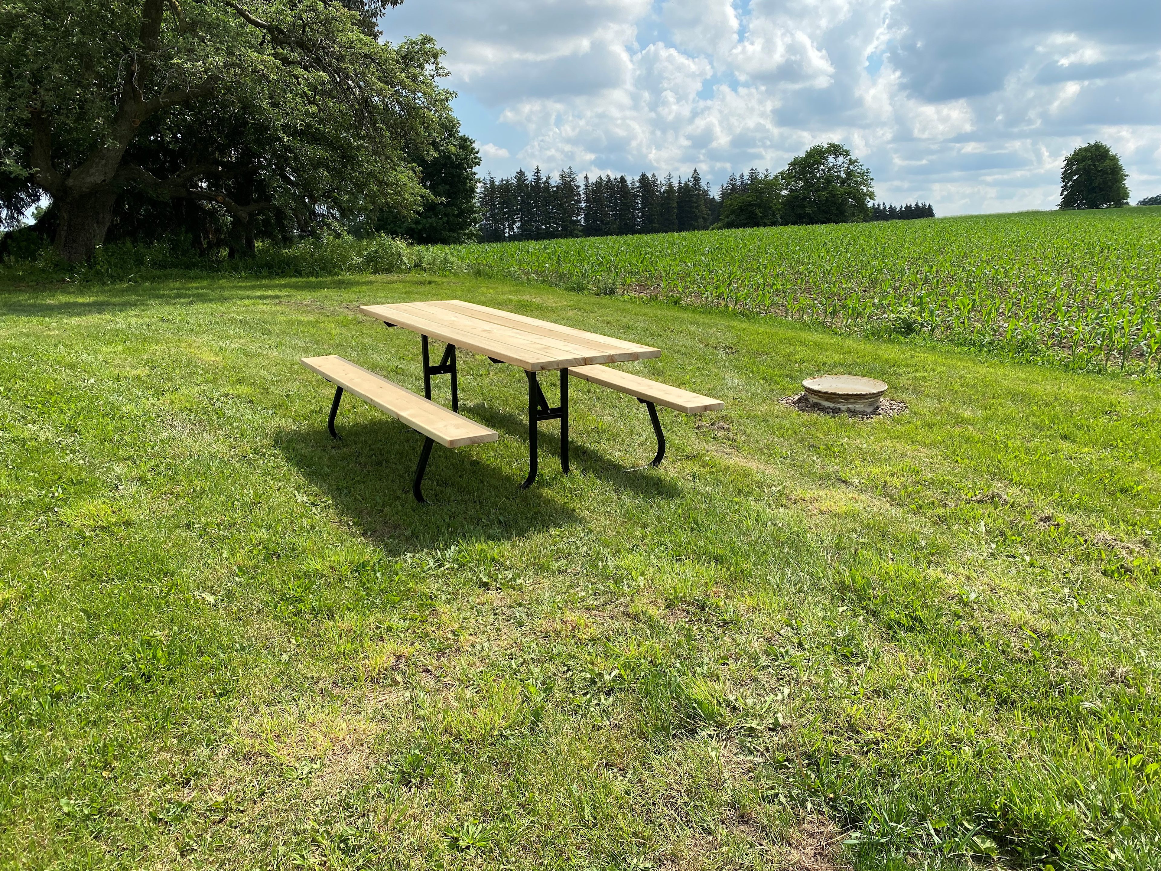 Site 1: Big Apple View