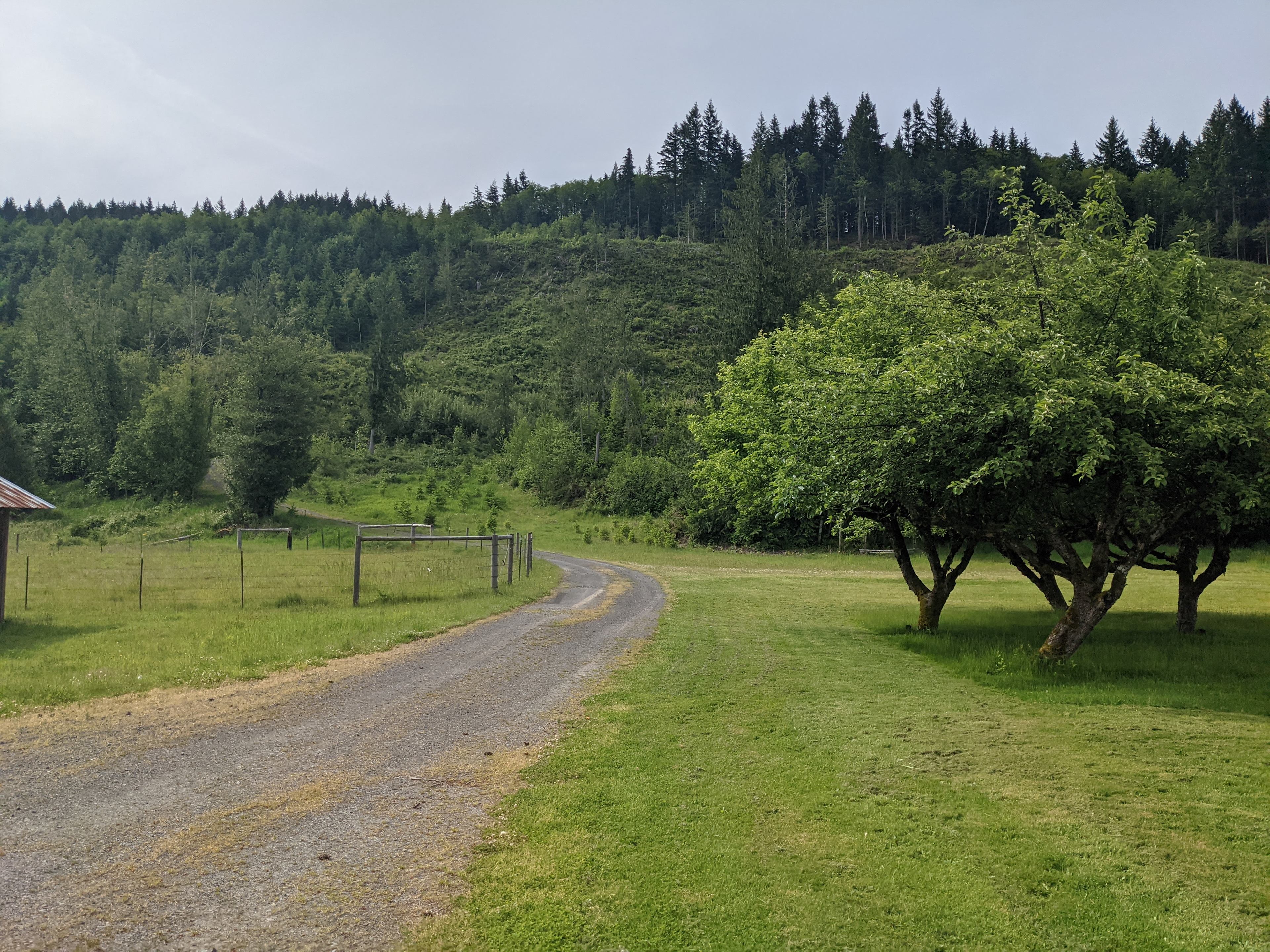 Painter’s Paradise