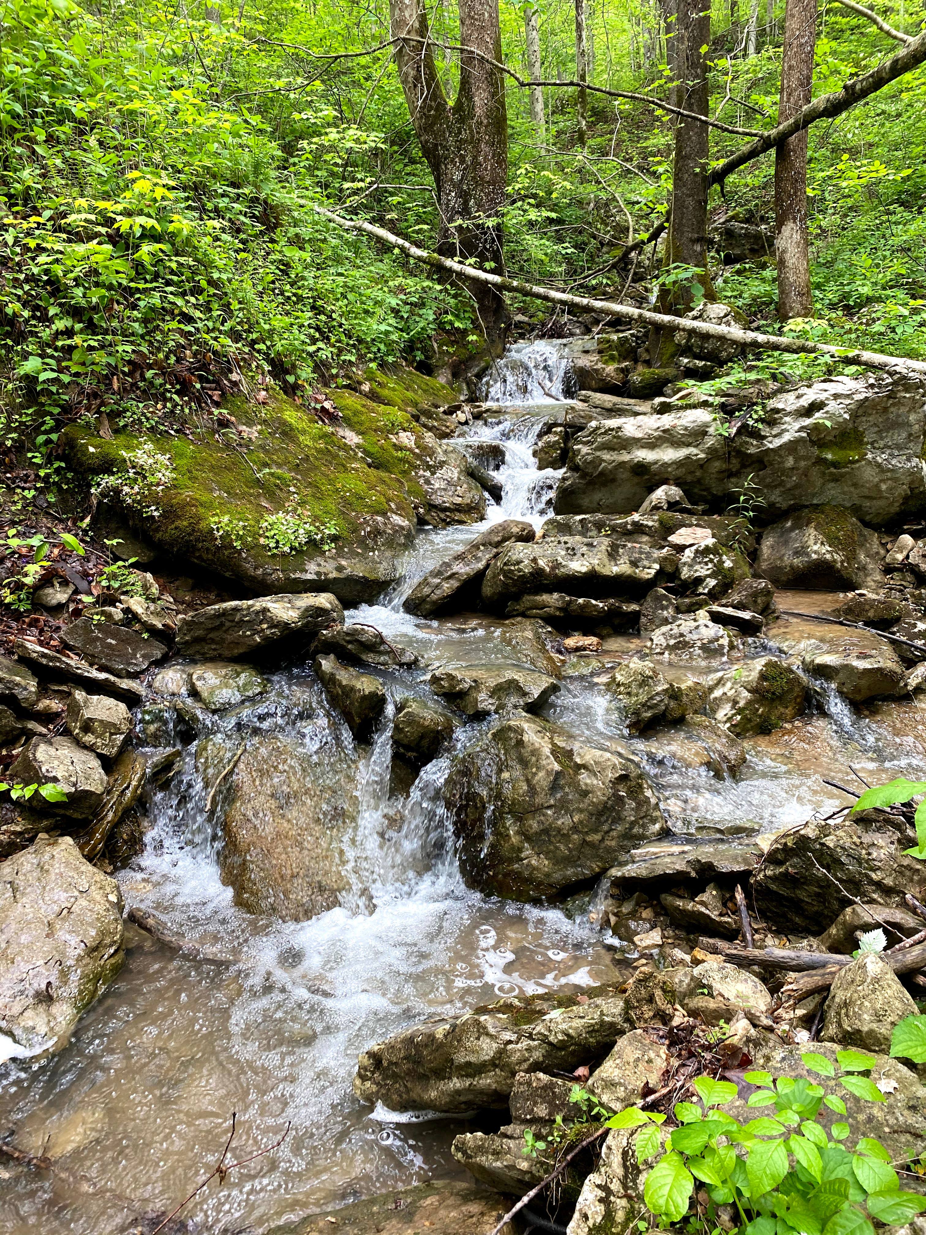 Follow the west trail with wonderful views and sounds of the water falls