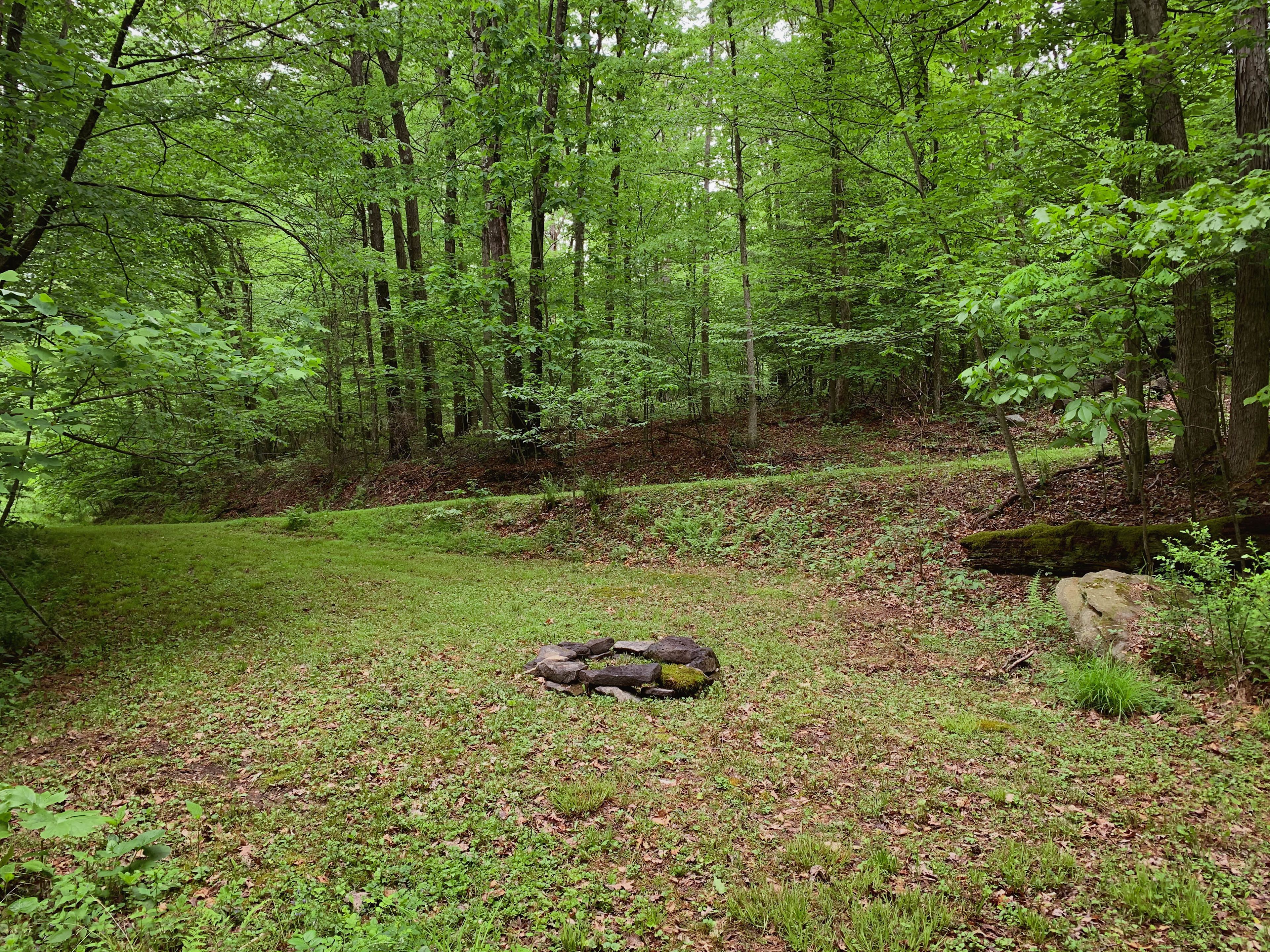 This campsite is great for tent or car/truck/van camping!