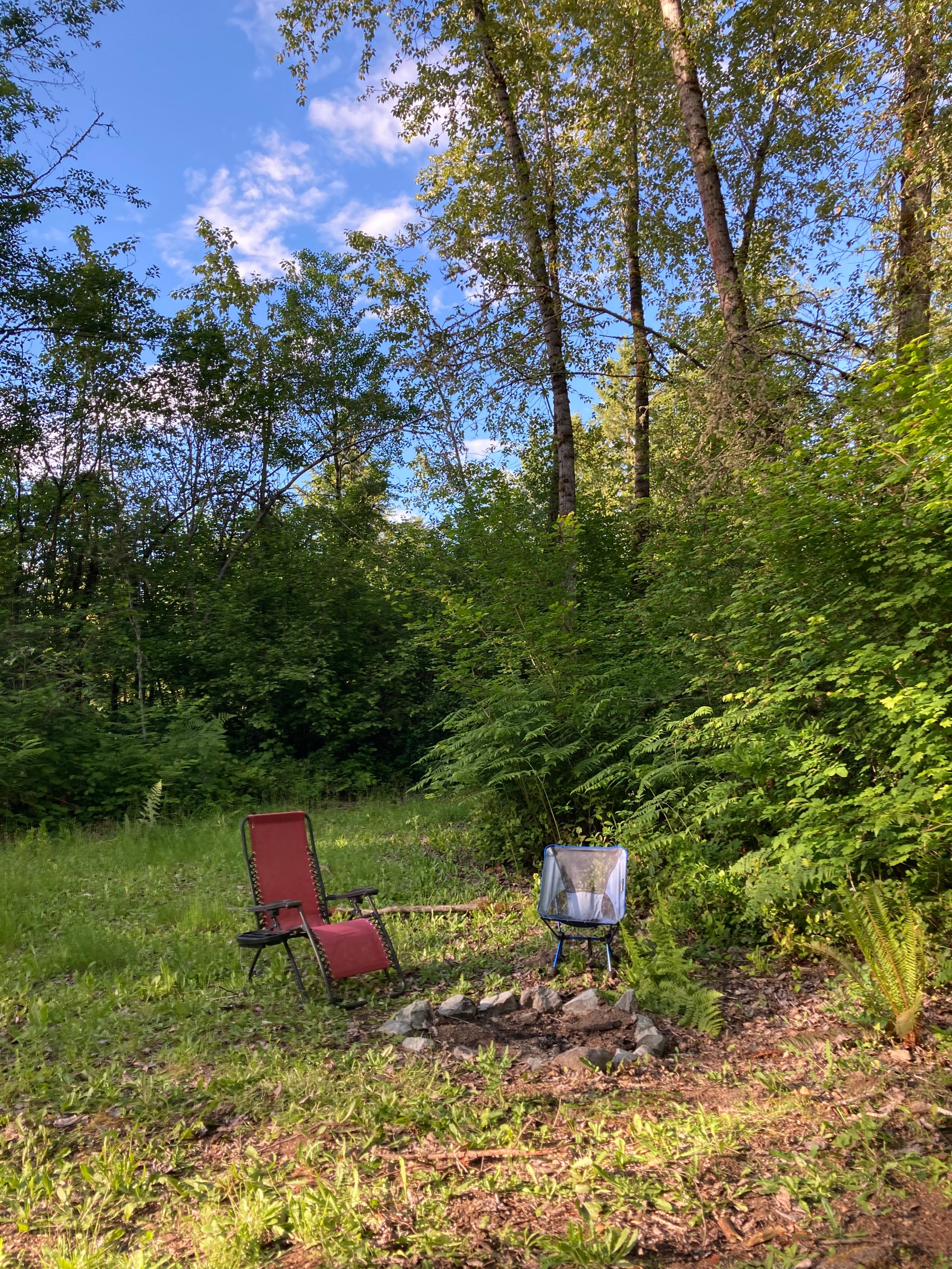 Her Wilderness’s Starry Cove