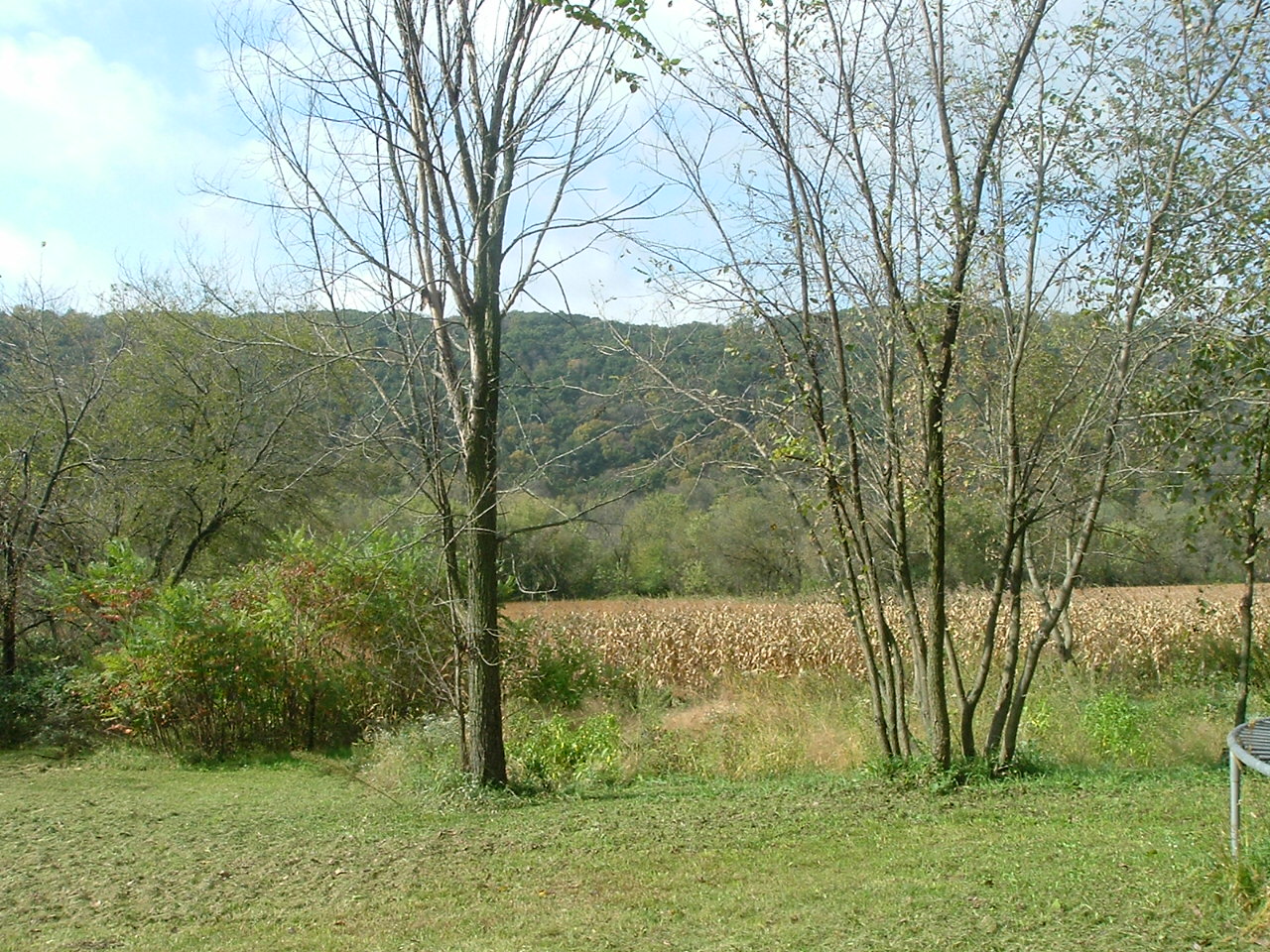 Tiny Home on the Hill