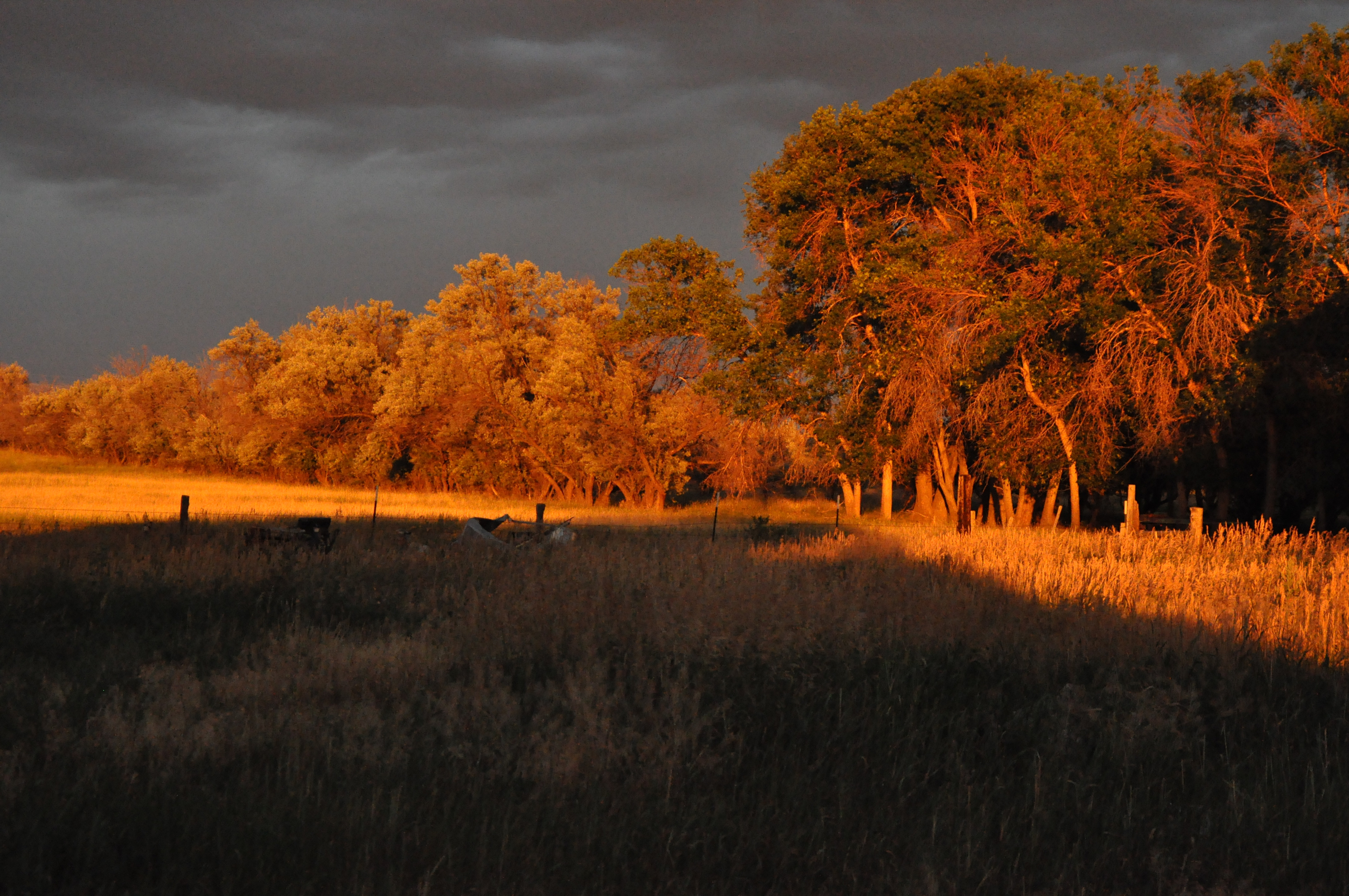 Cowtown Ranch