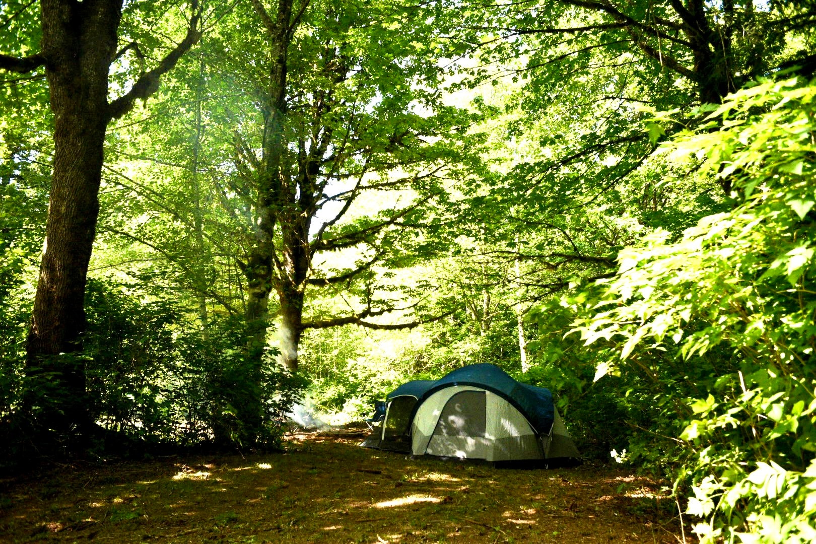 Group site (#2)