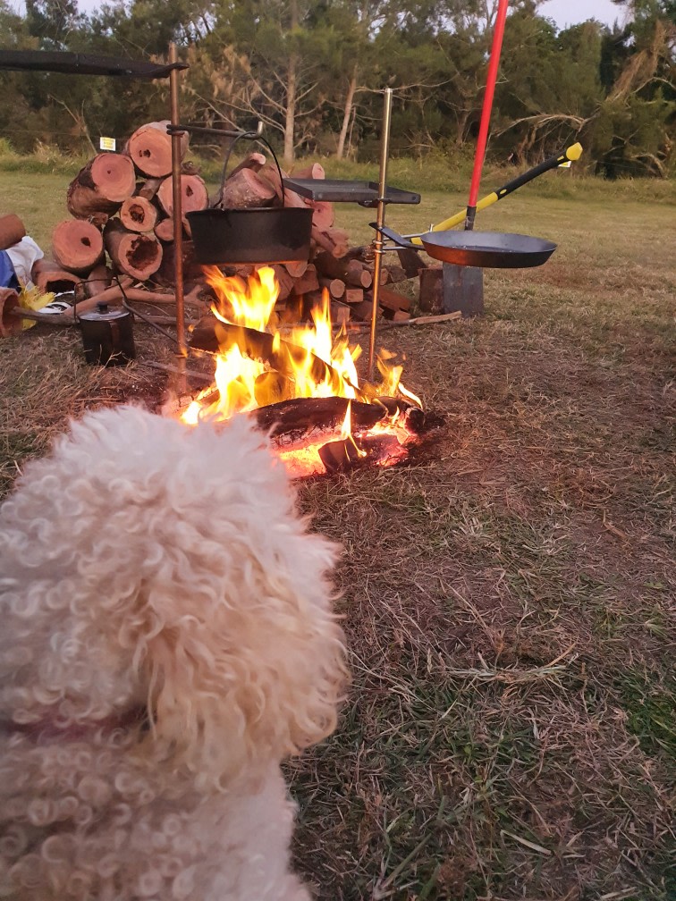 Fur balls allowed and open fire 