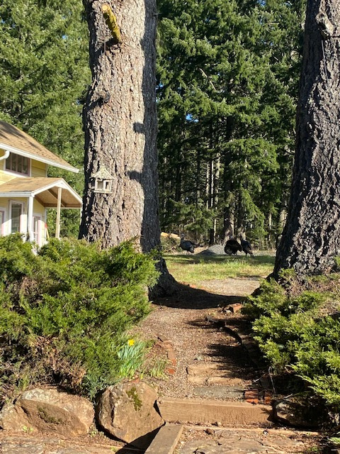 Whispering Winds Mountain Retreat