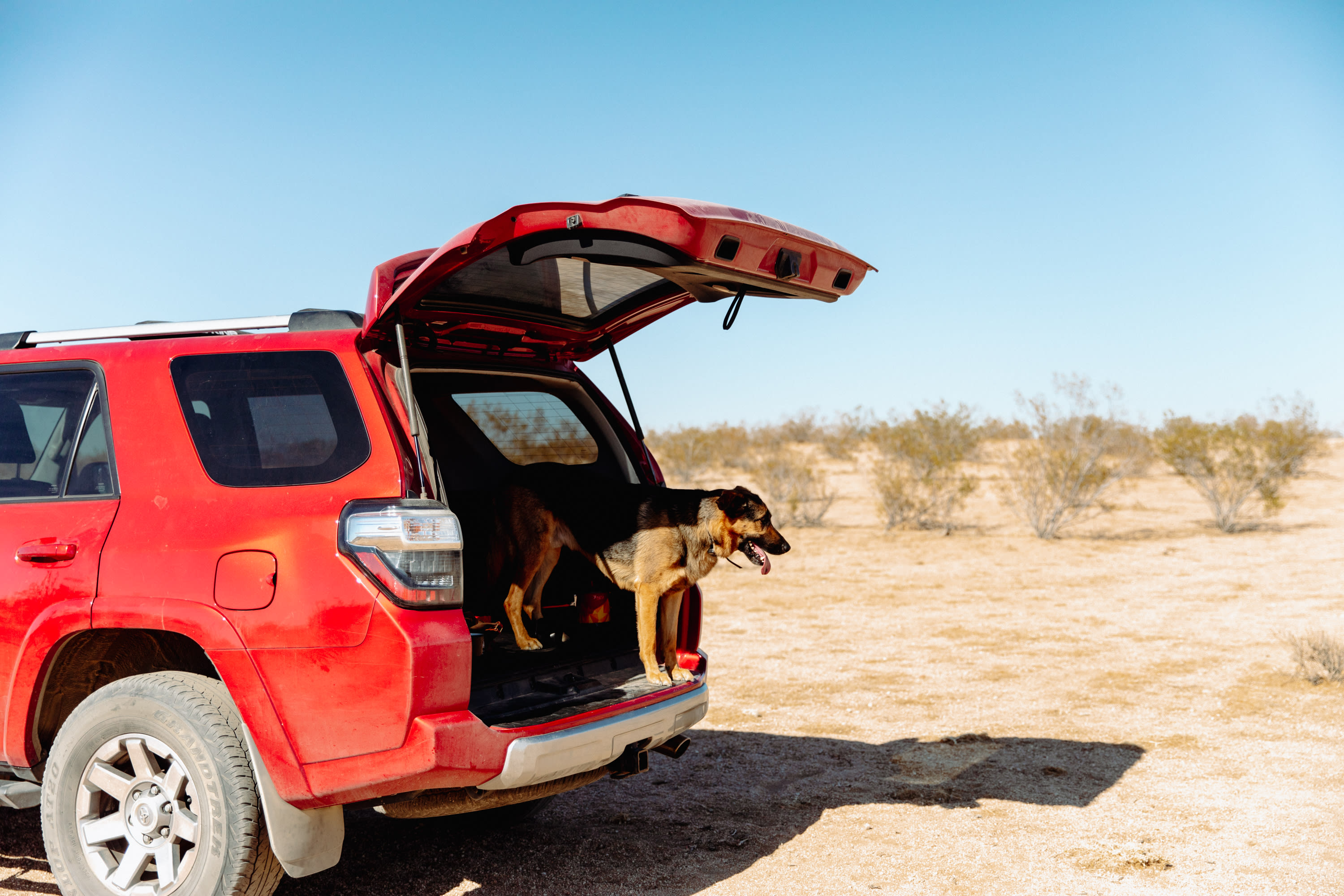 Is it time to play yet?