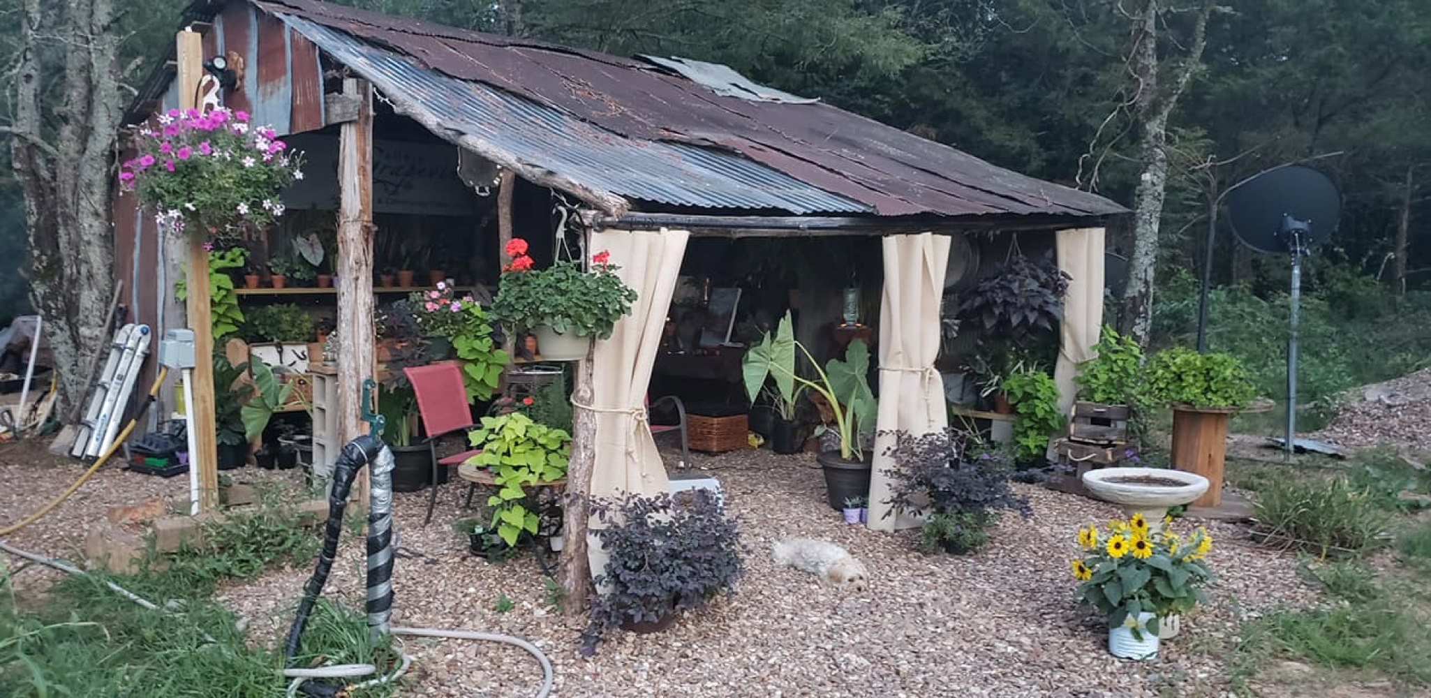 Our historic barn serves as a plant nursery and gift shop in the spring and summer, while also providing a relaxing place for coffee in the morning and optional cocktails in the evening for guests . . .