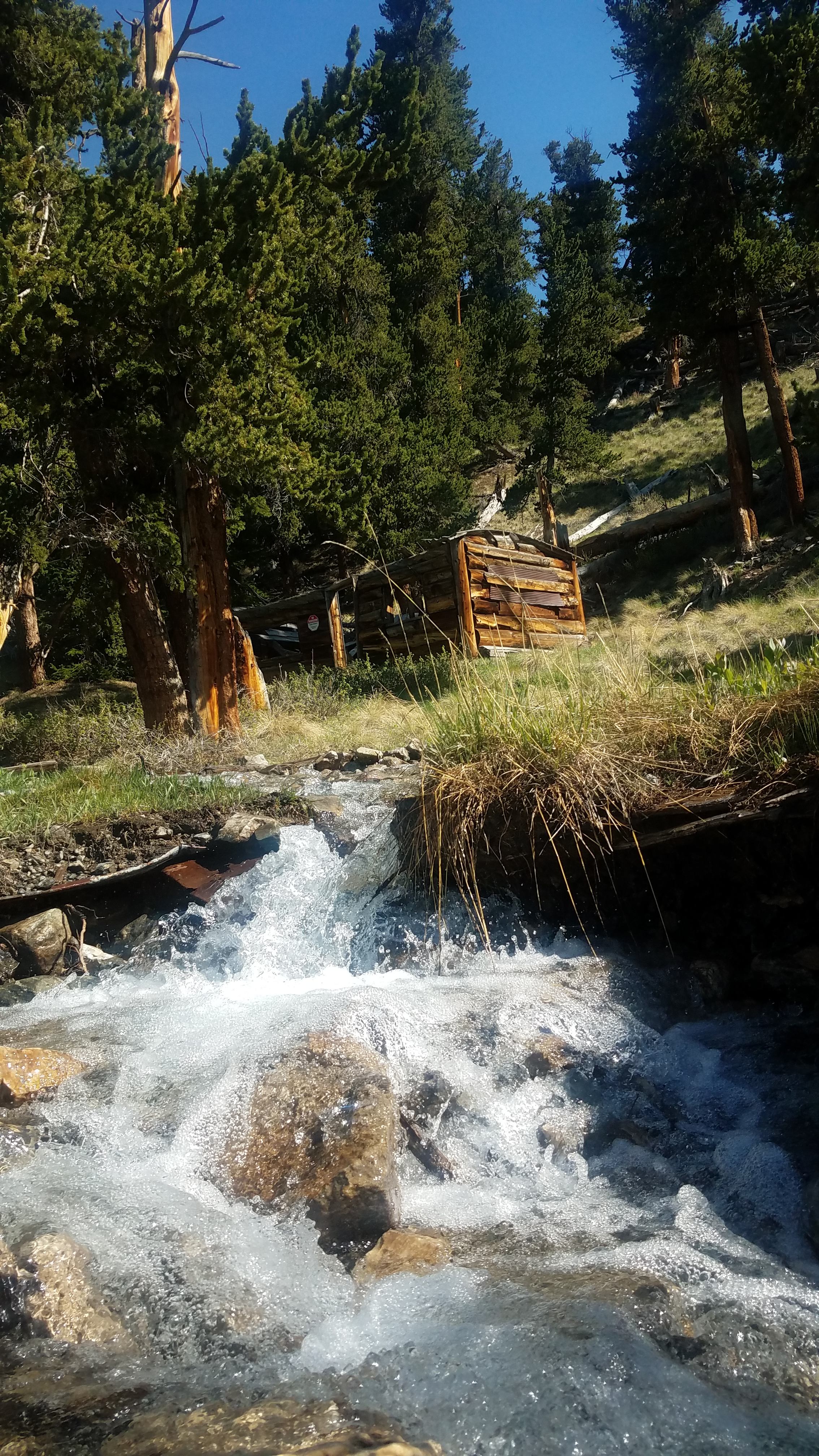 Stream with a old miners cabin next to camp