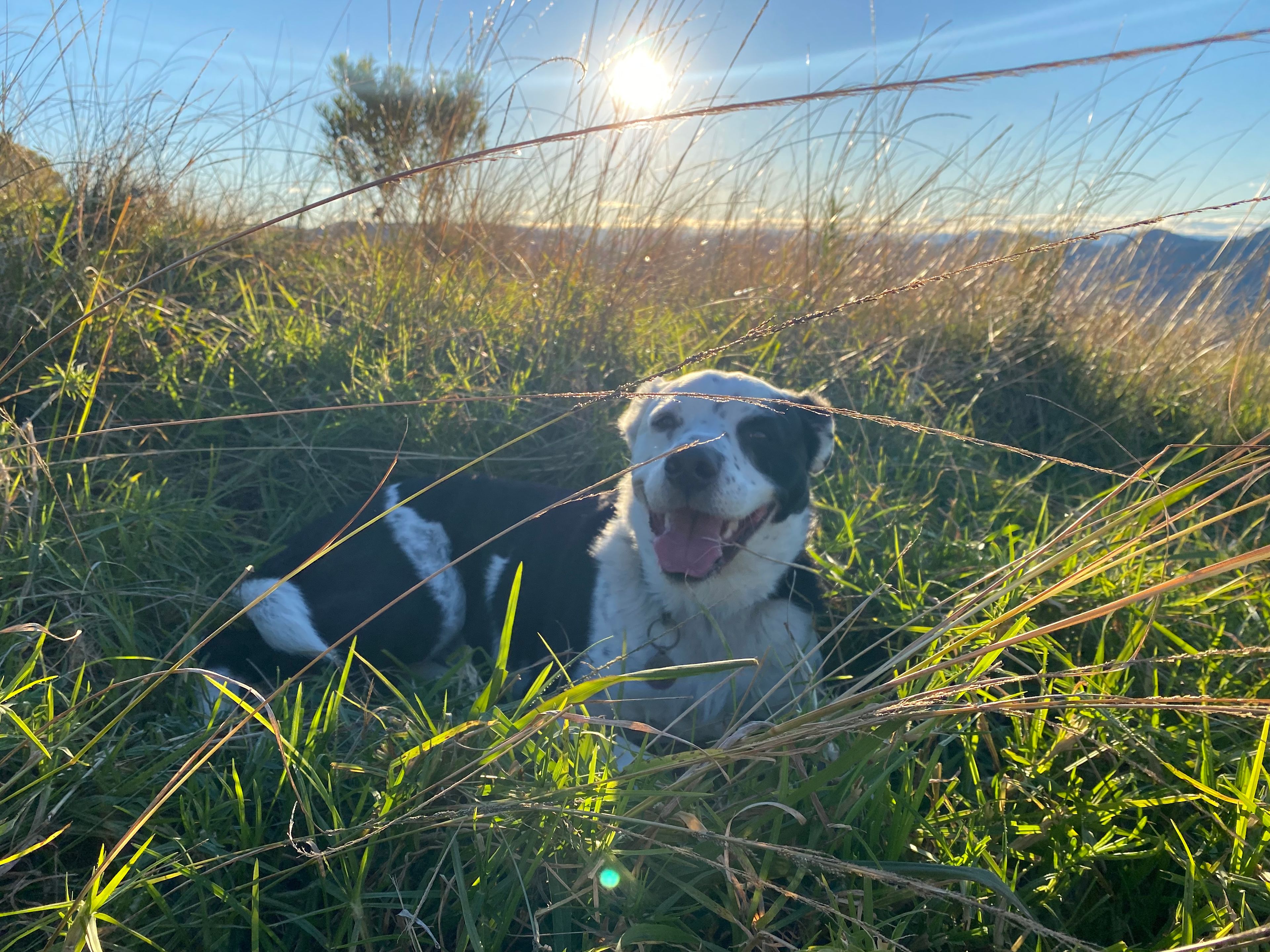 Ellenborough Getaways