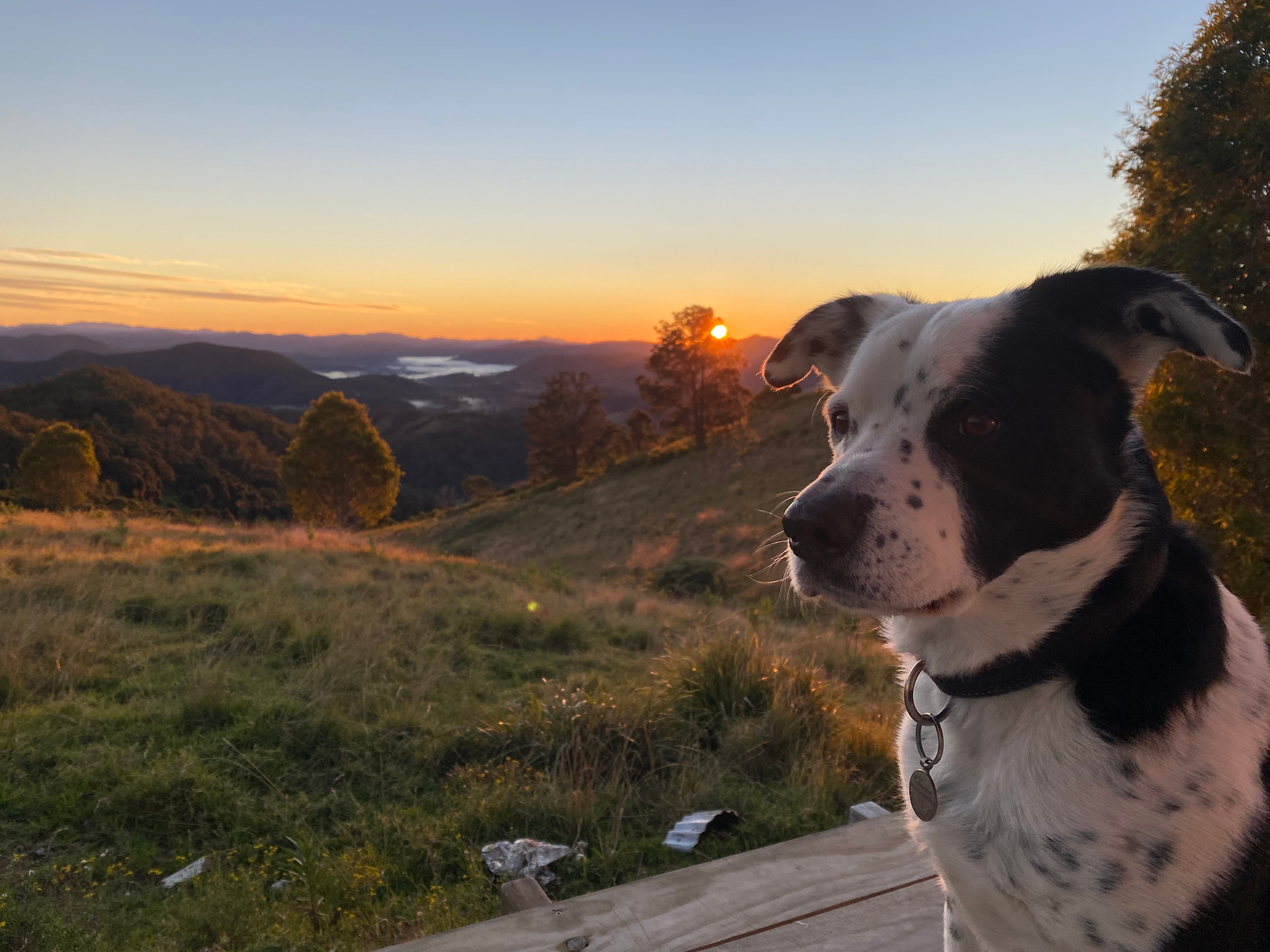 Ellenborough Getaways