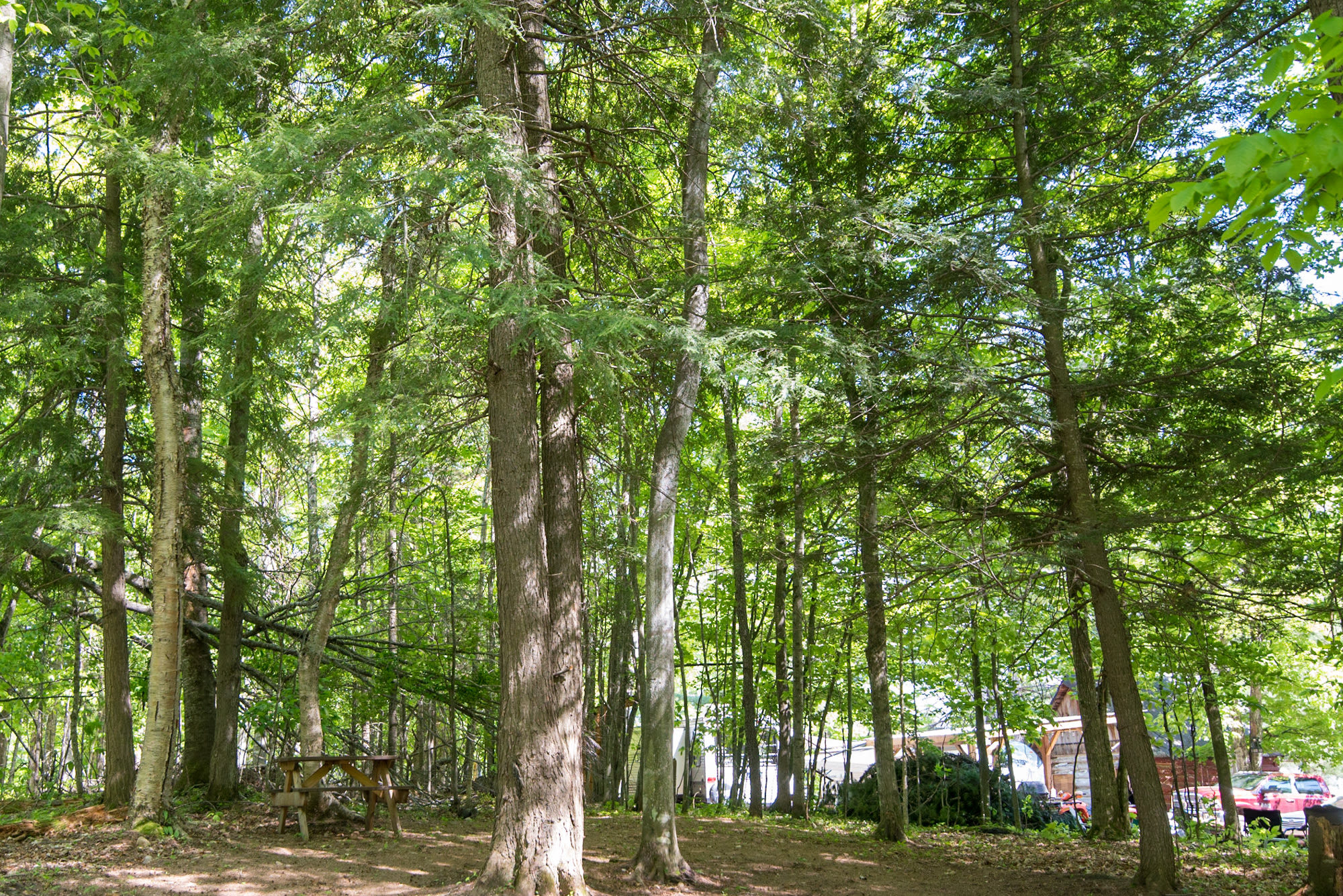Superior Times Resort & Campground