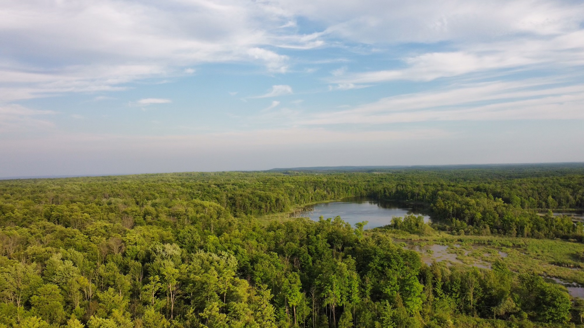 Arial view of our land - 137 Acres