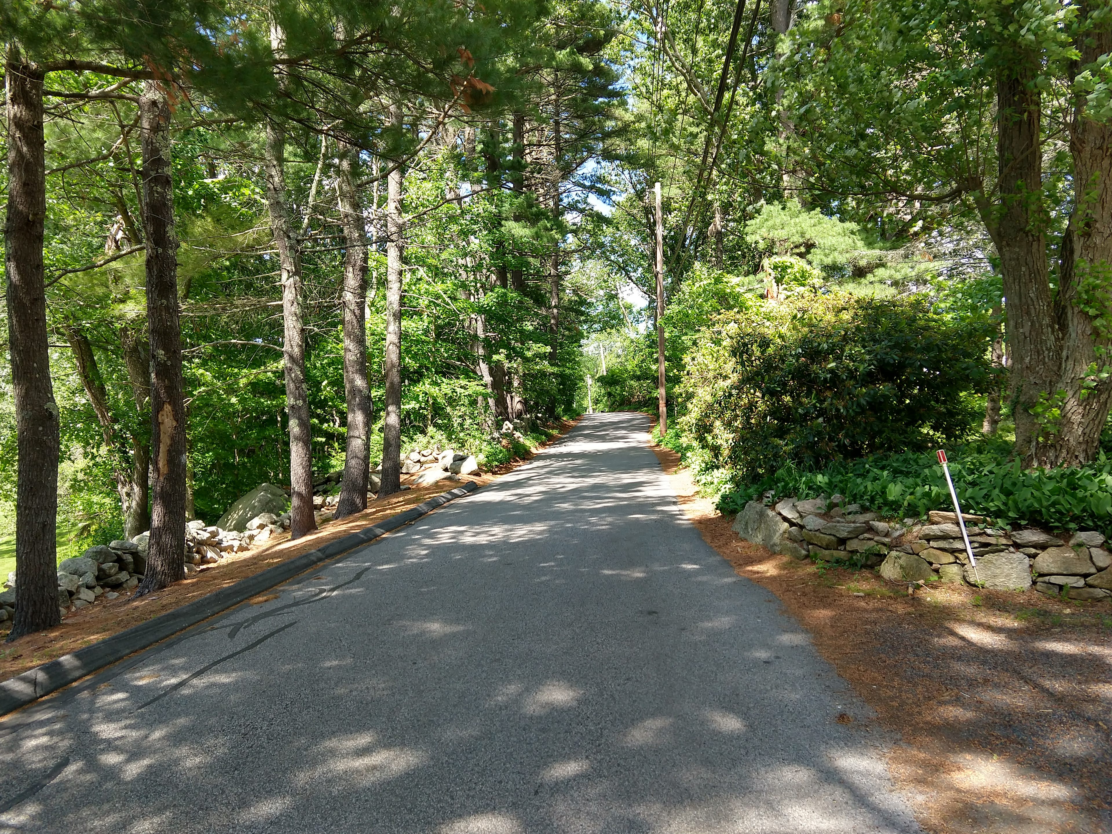 Turtle Path Camping Site