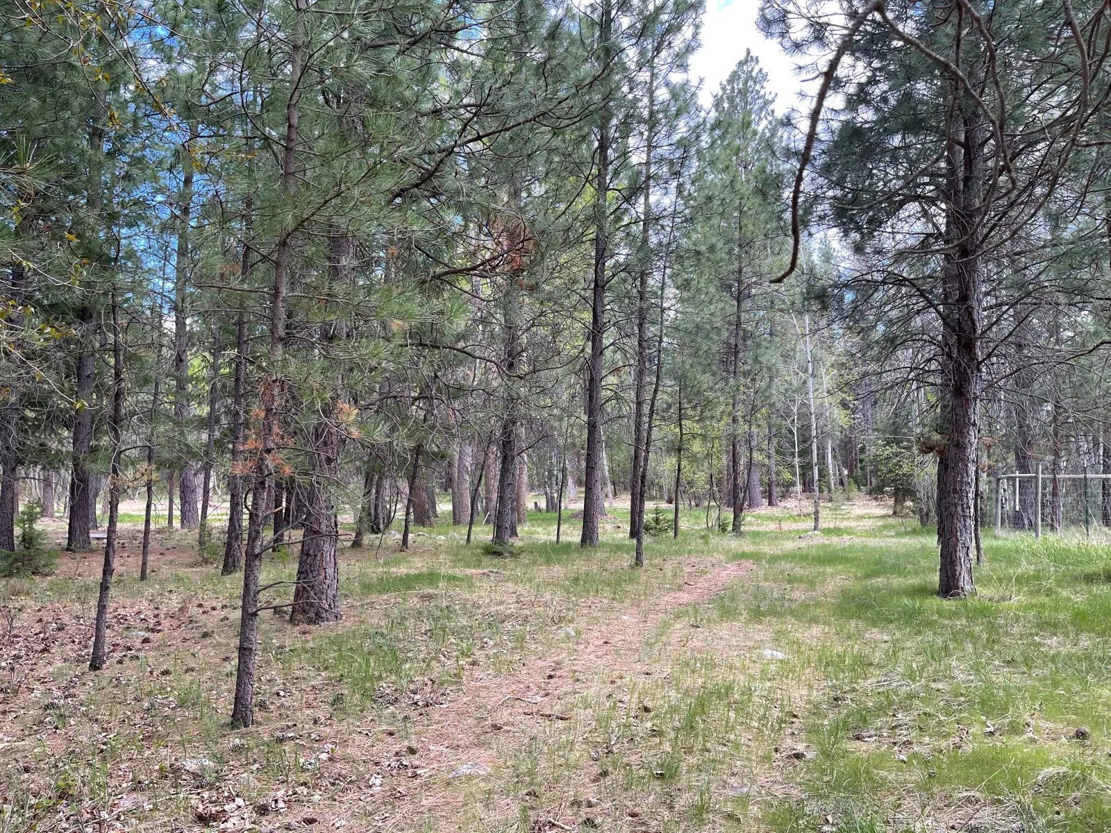 TK Ranch