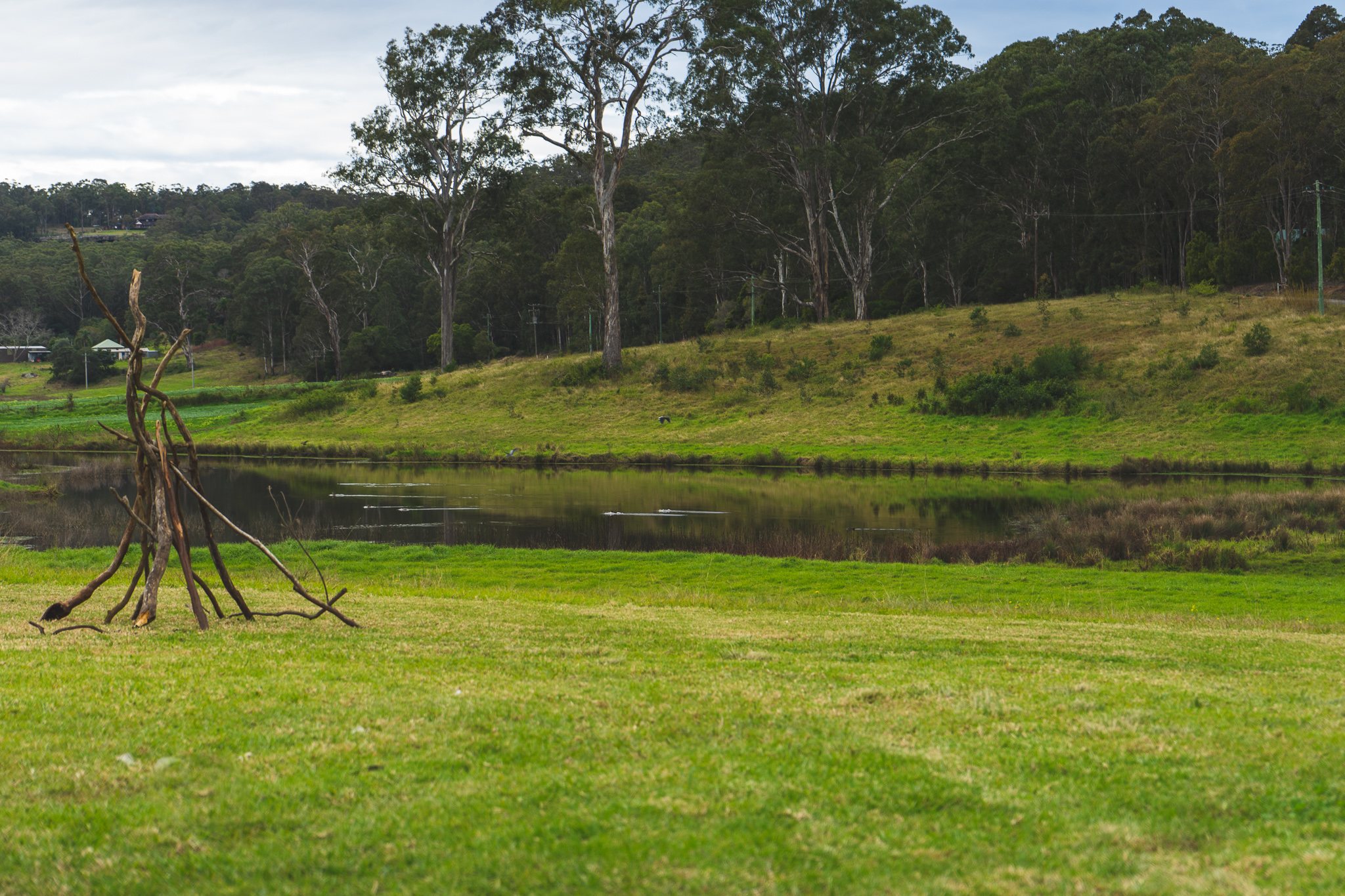 Bamarang Camp @ Nest Cottage