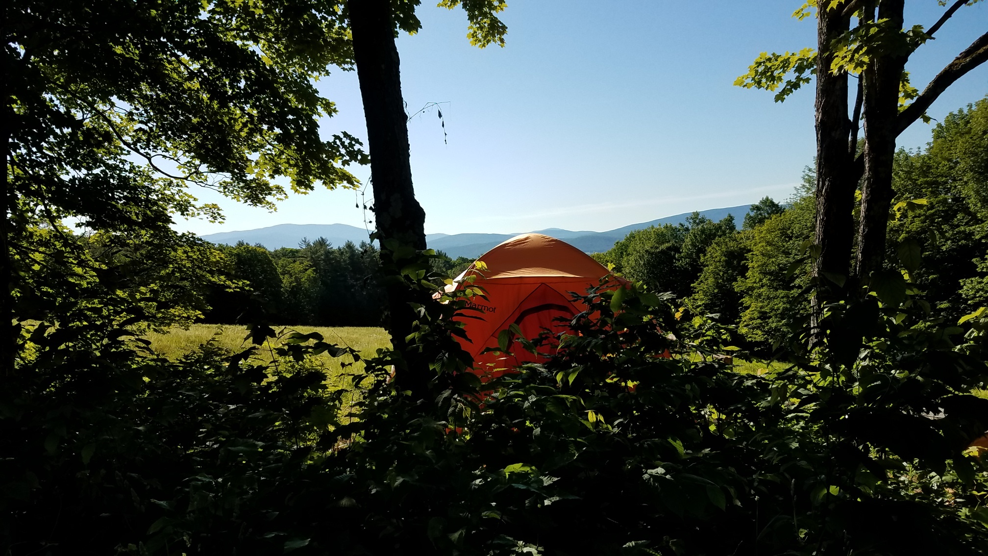 Amanda and Ben's Homestead