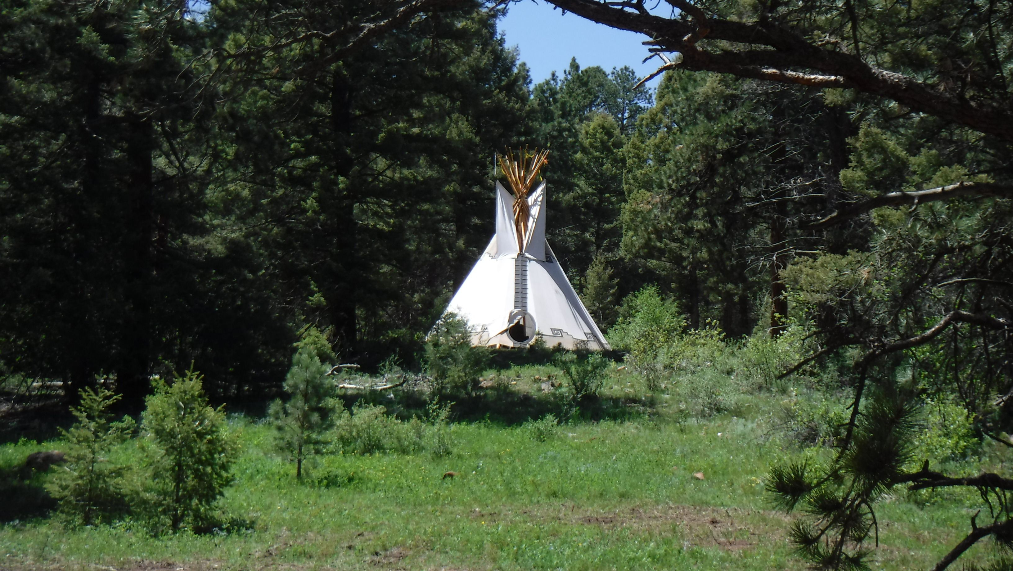 Tava Lodge overlooking Pony Meadow.