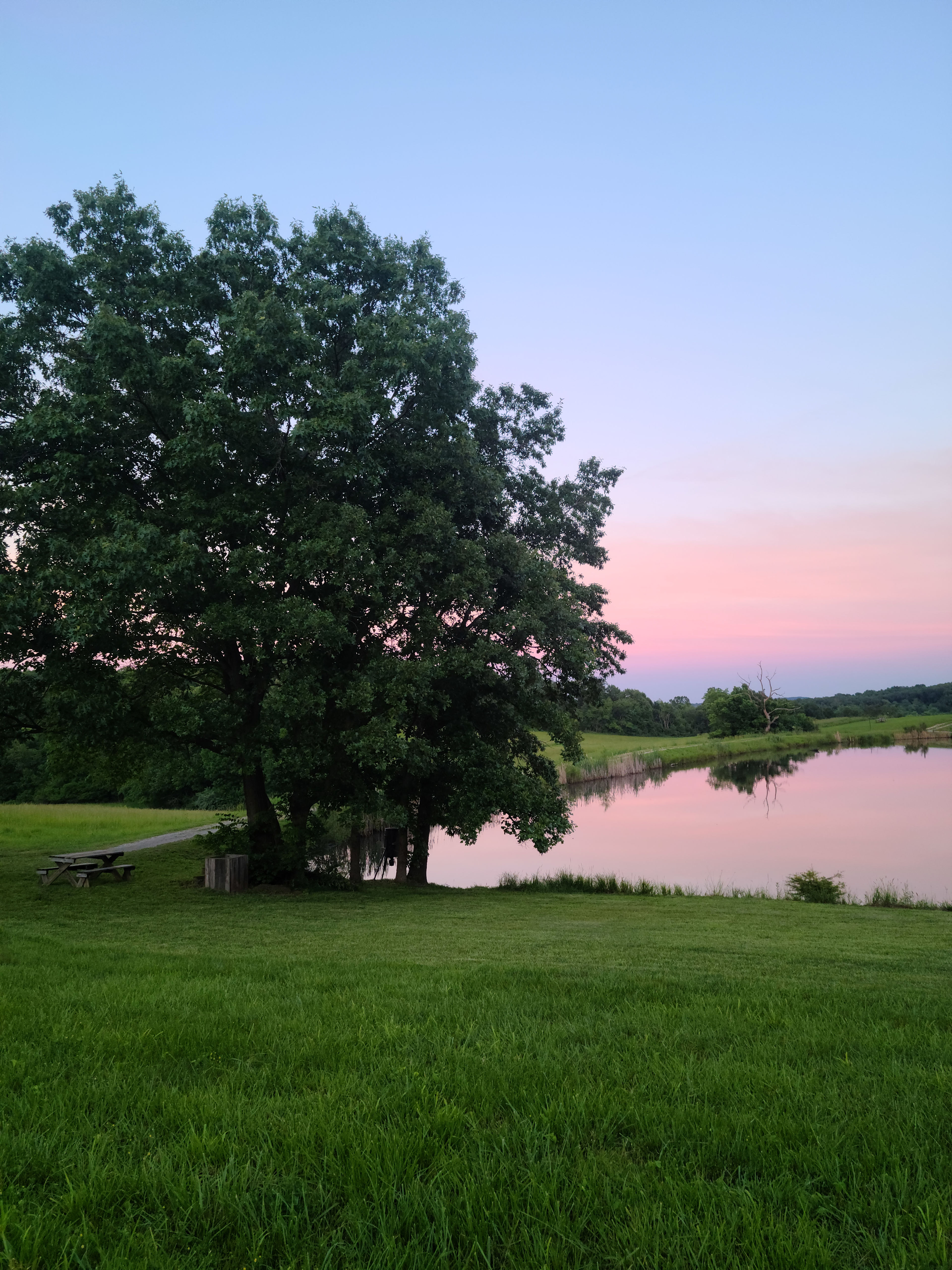 PeaceTree Farms