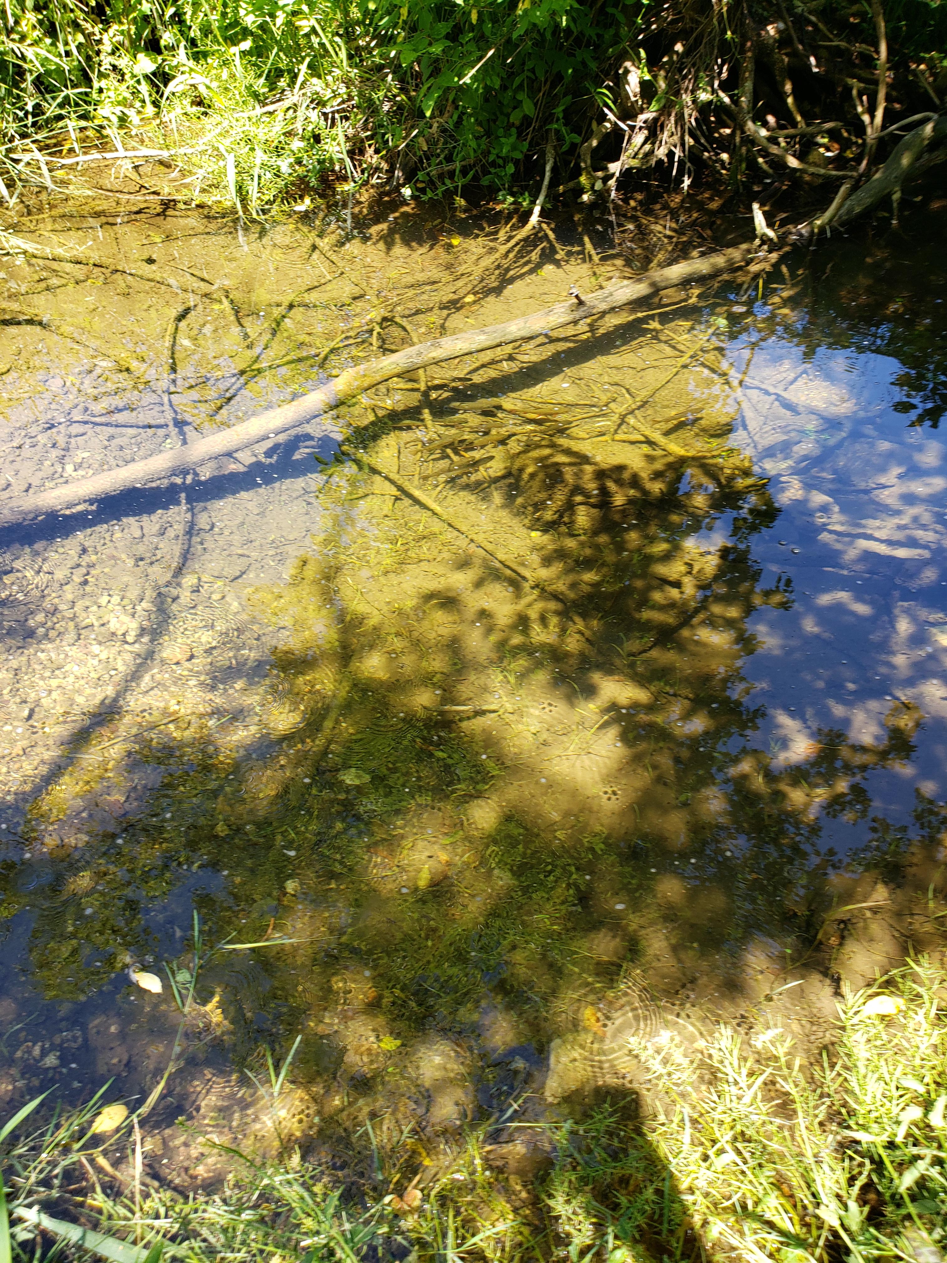 Driftless Haven 125 Acres & Creek