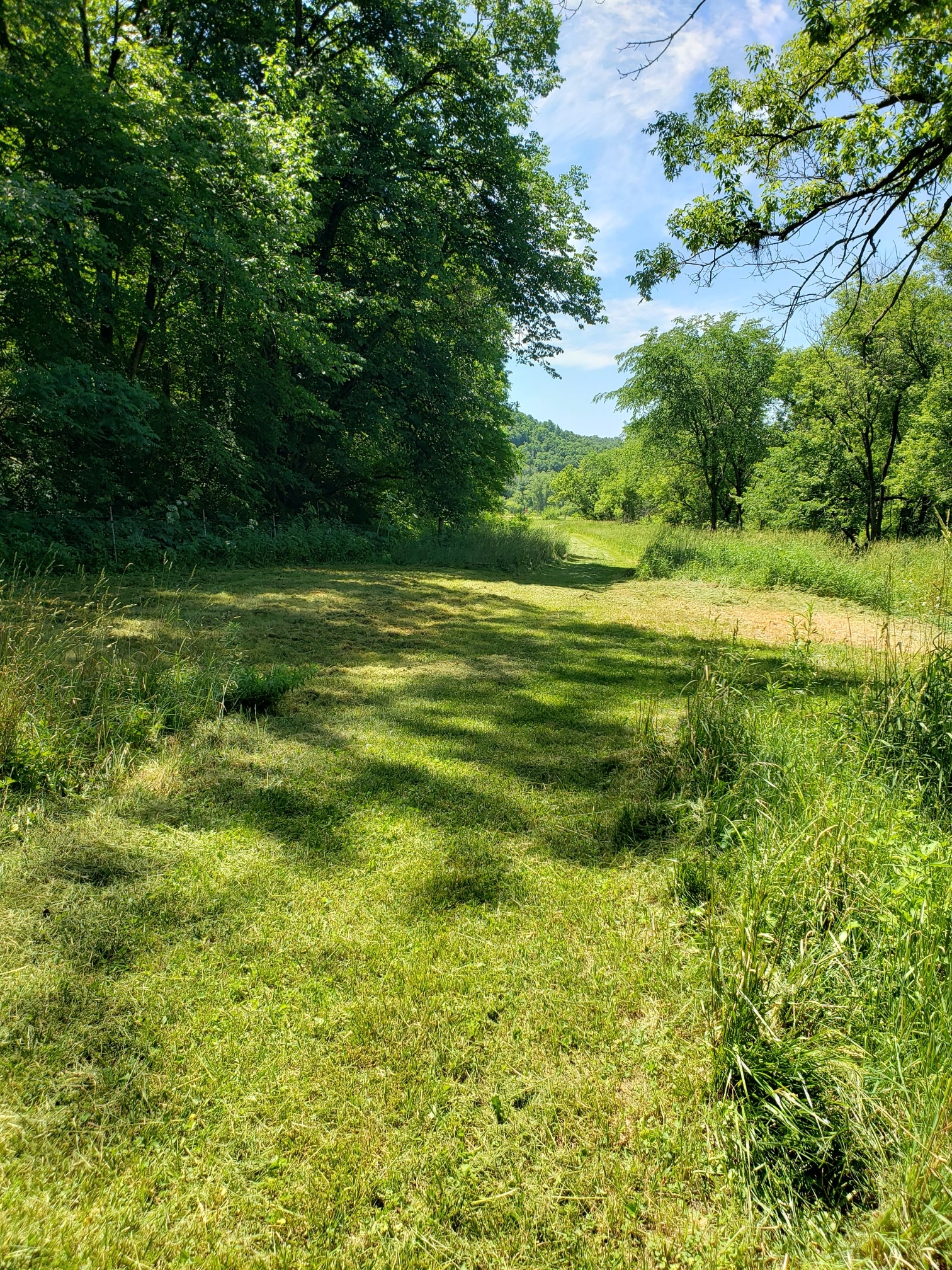 Driftless Haven 125 Acres & Creek