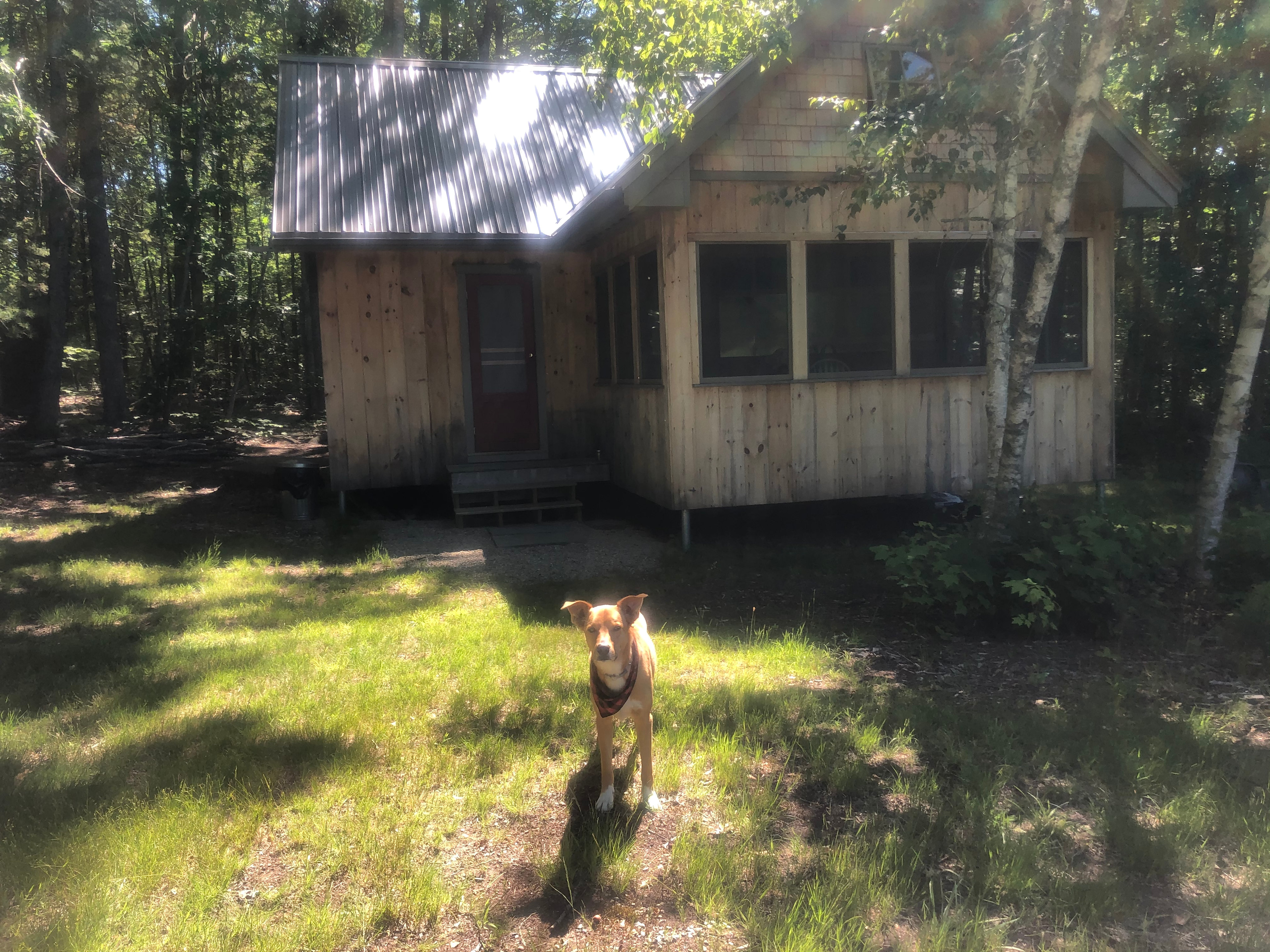 The cabin at White Duck Farm