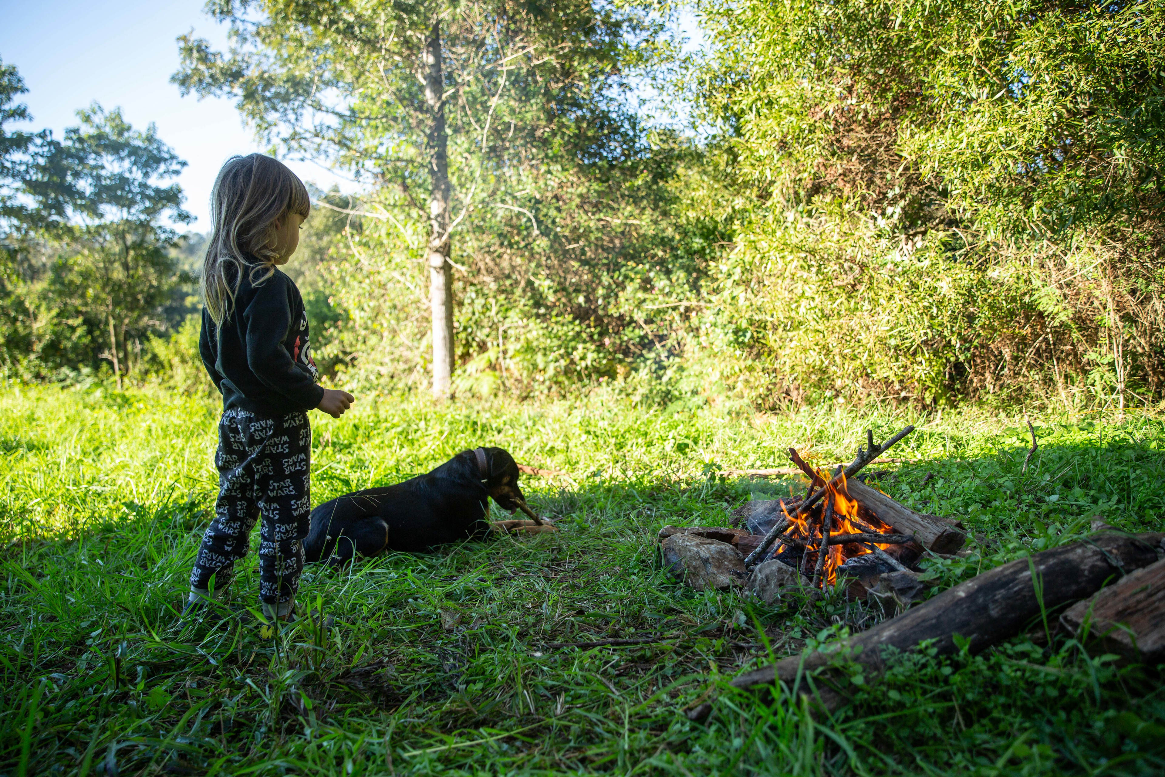 Morning campfire and a visit from Sushi dog