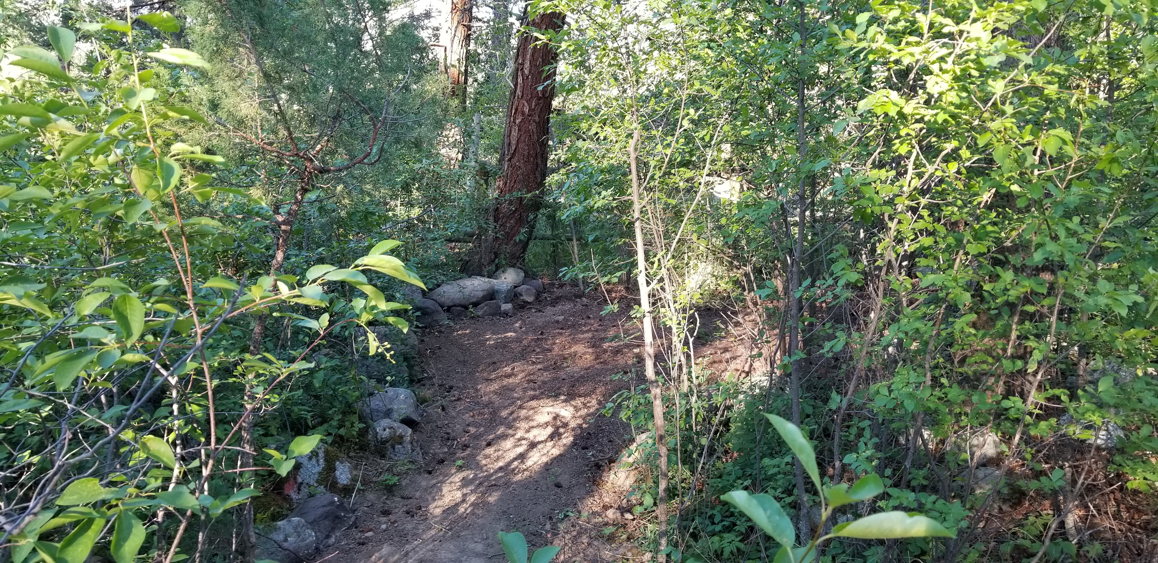 Jammin Jackalope Camping