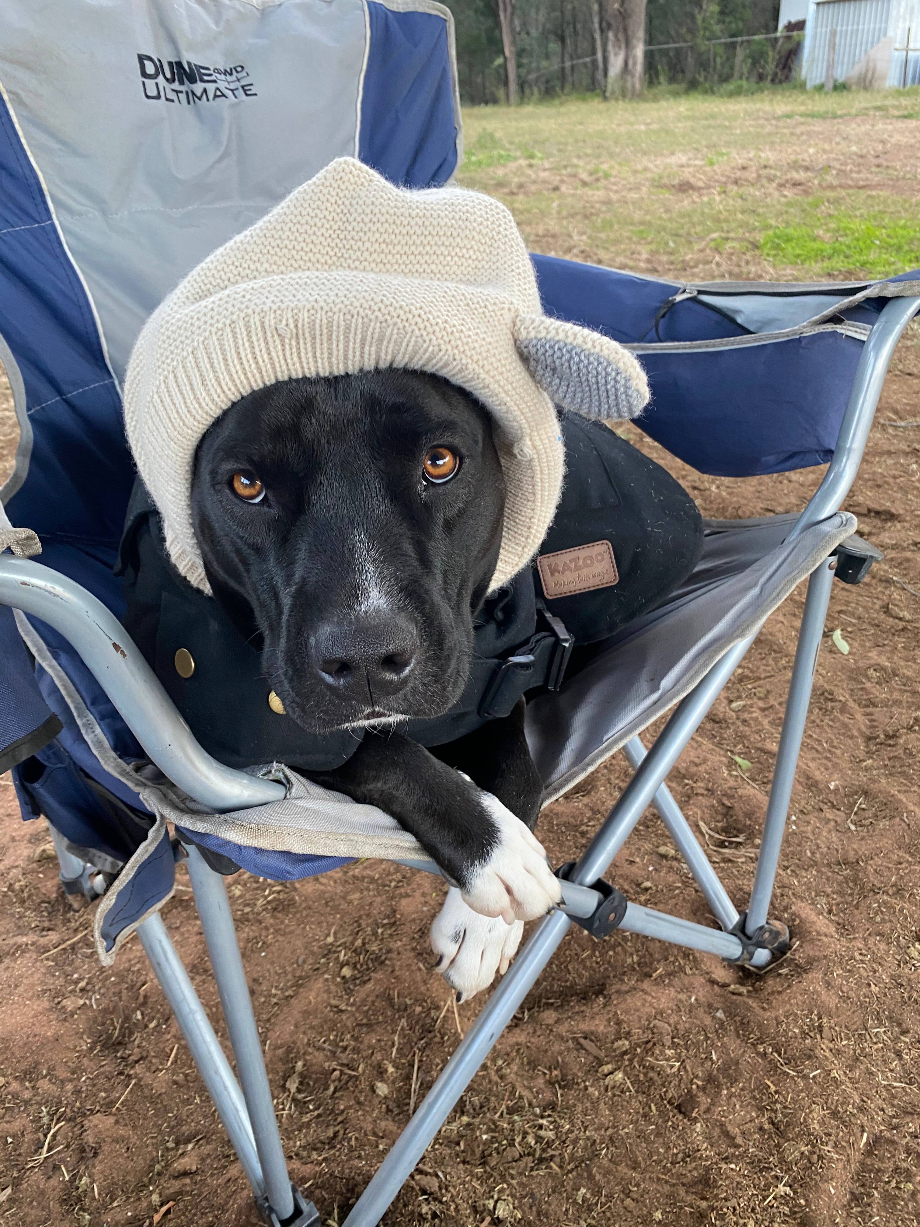 One of our happy campers