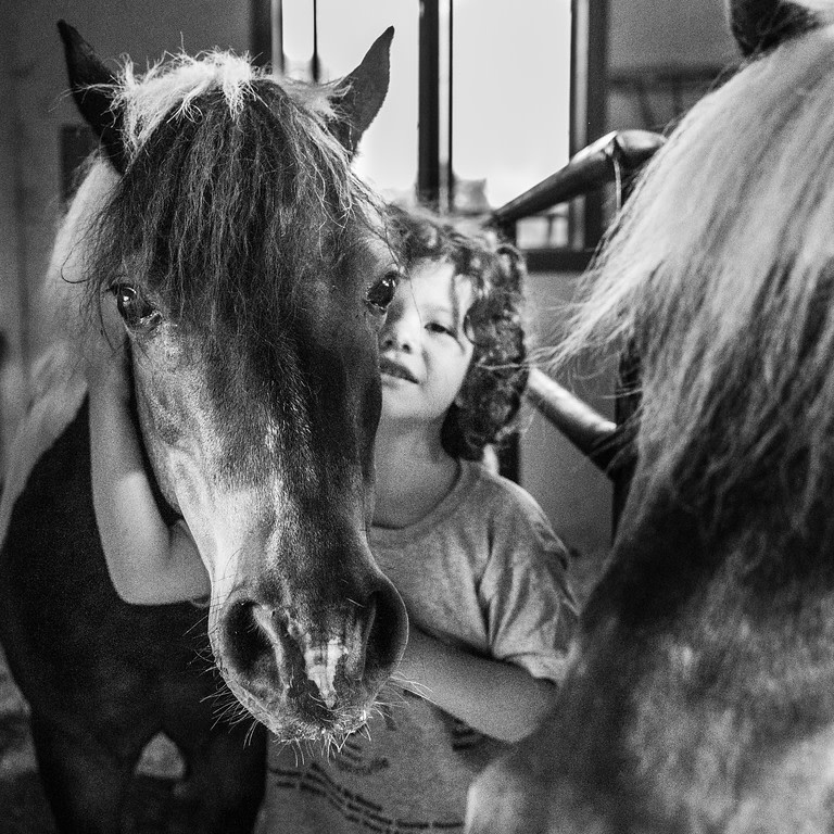 Enjoy getting up close and personal with our Shetland Ponies!