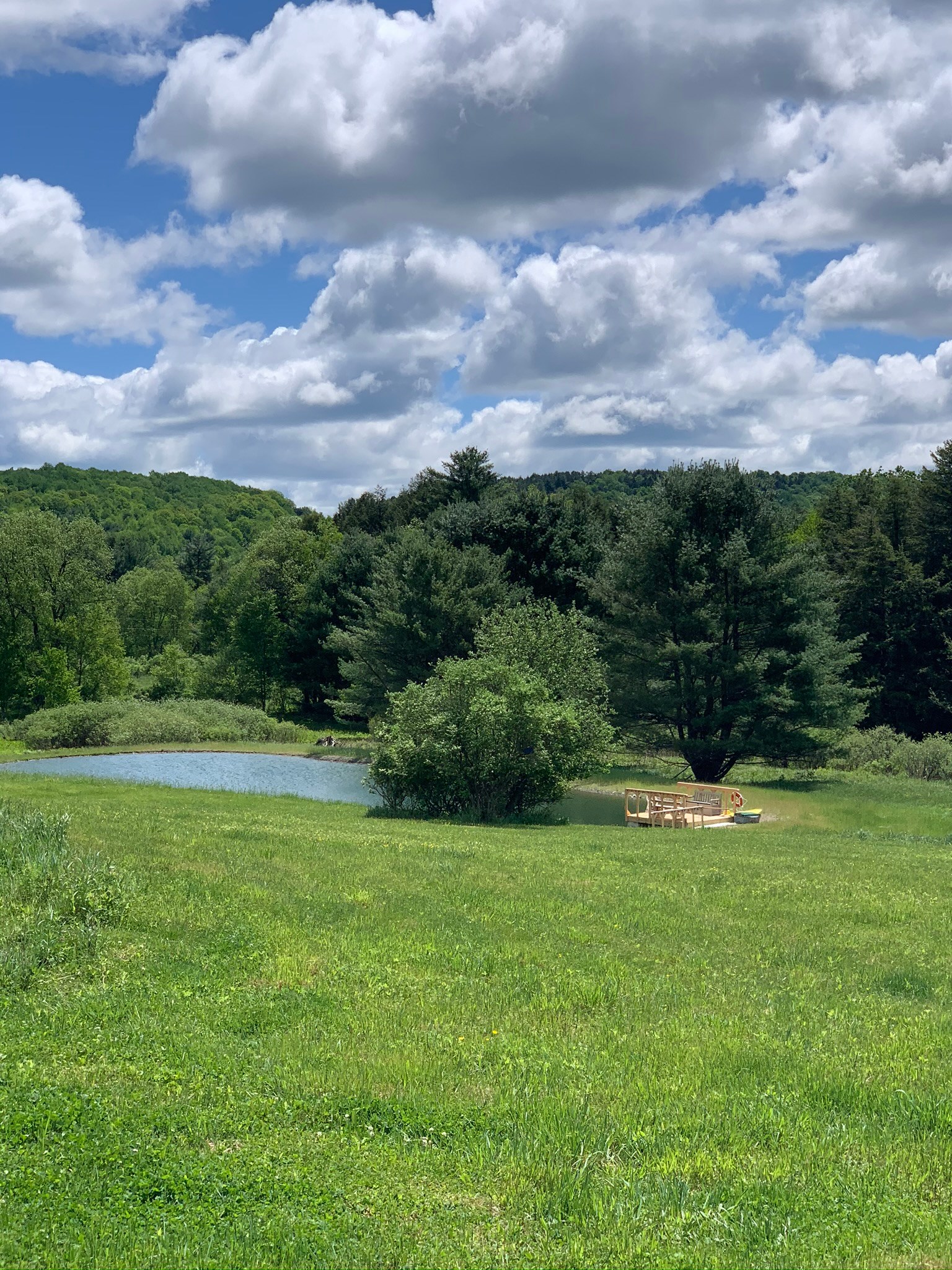 The Swim Pond at Olin Springs
