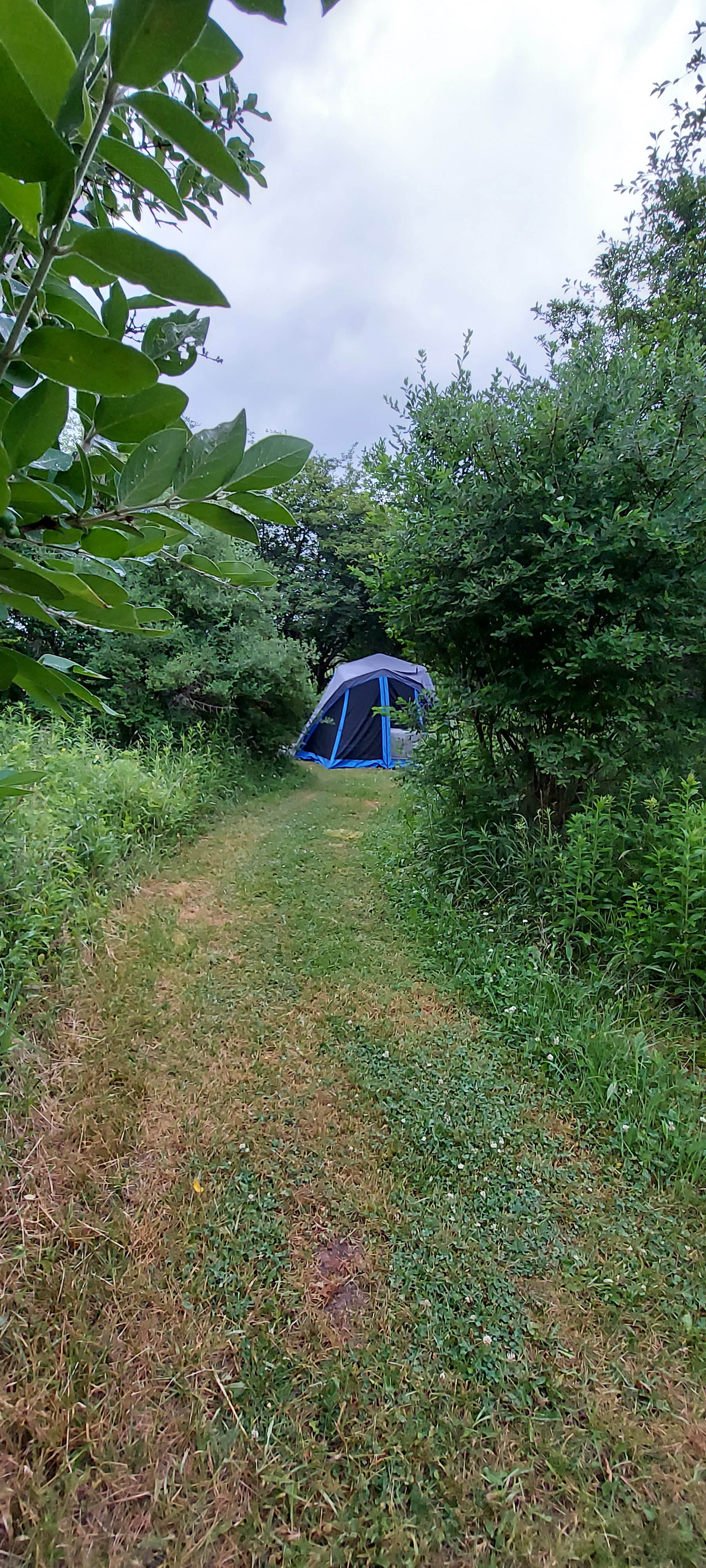 Apple Cove Farm