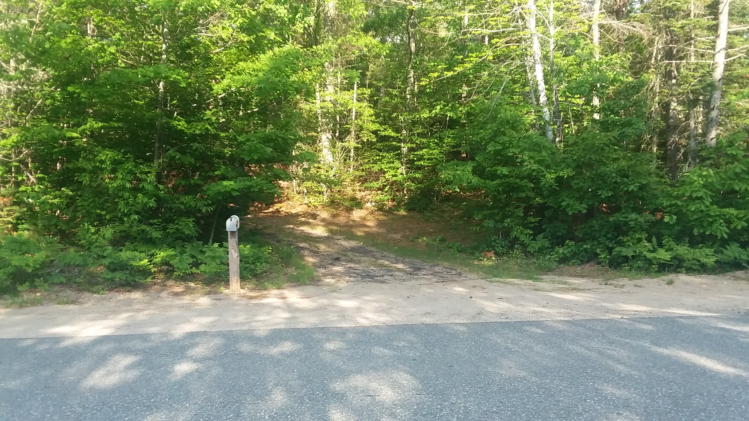 View of driveway from the street.