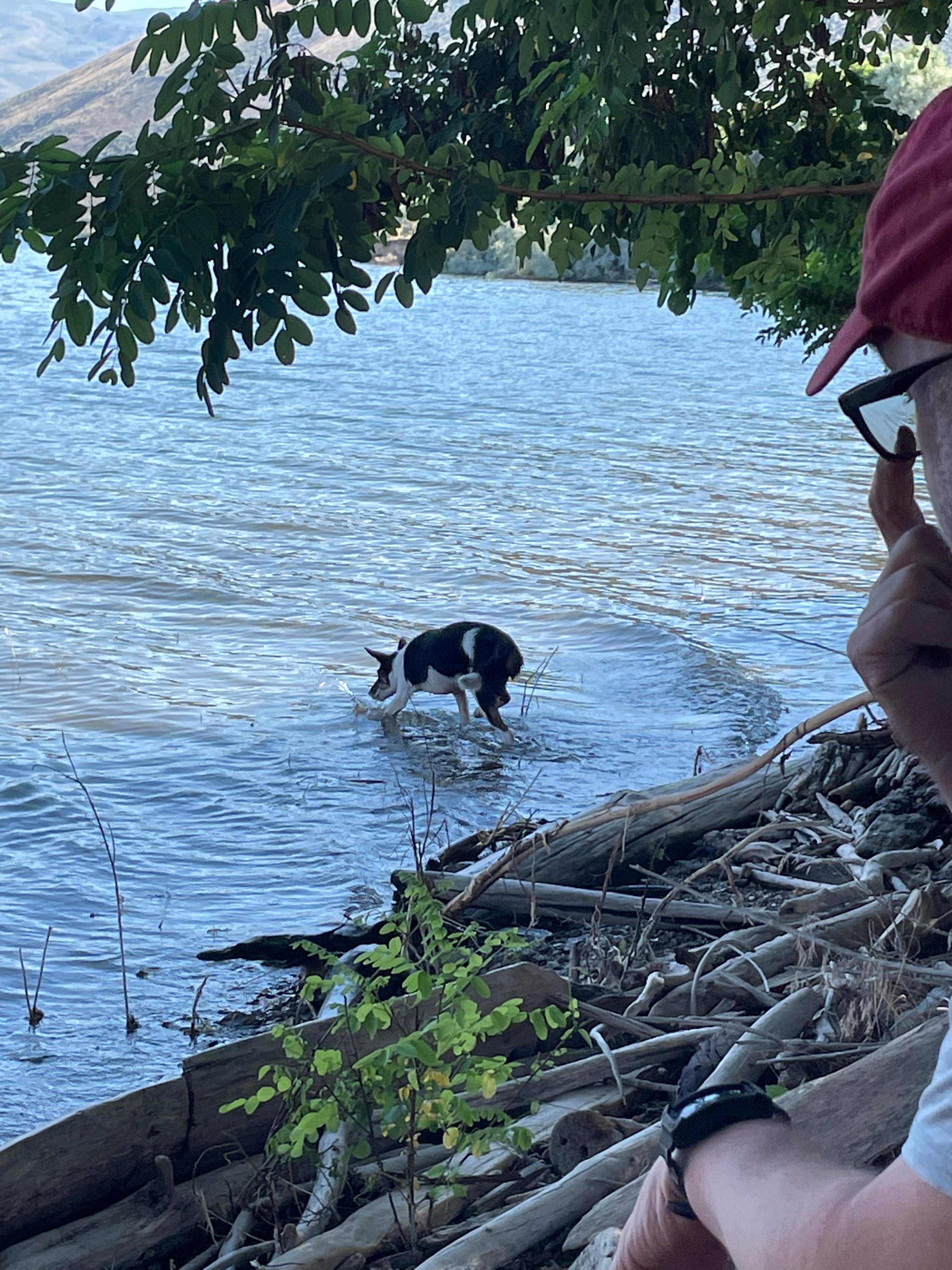 Waterfront cabin and camping