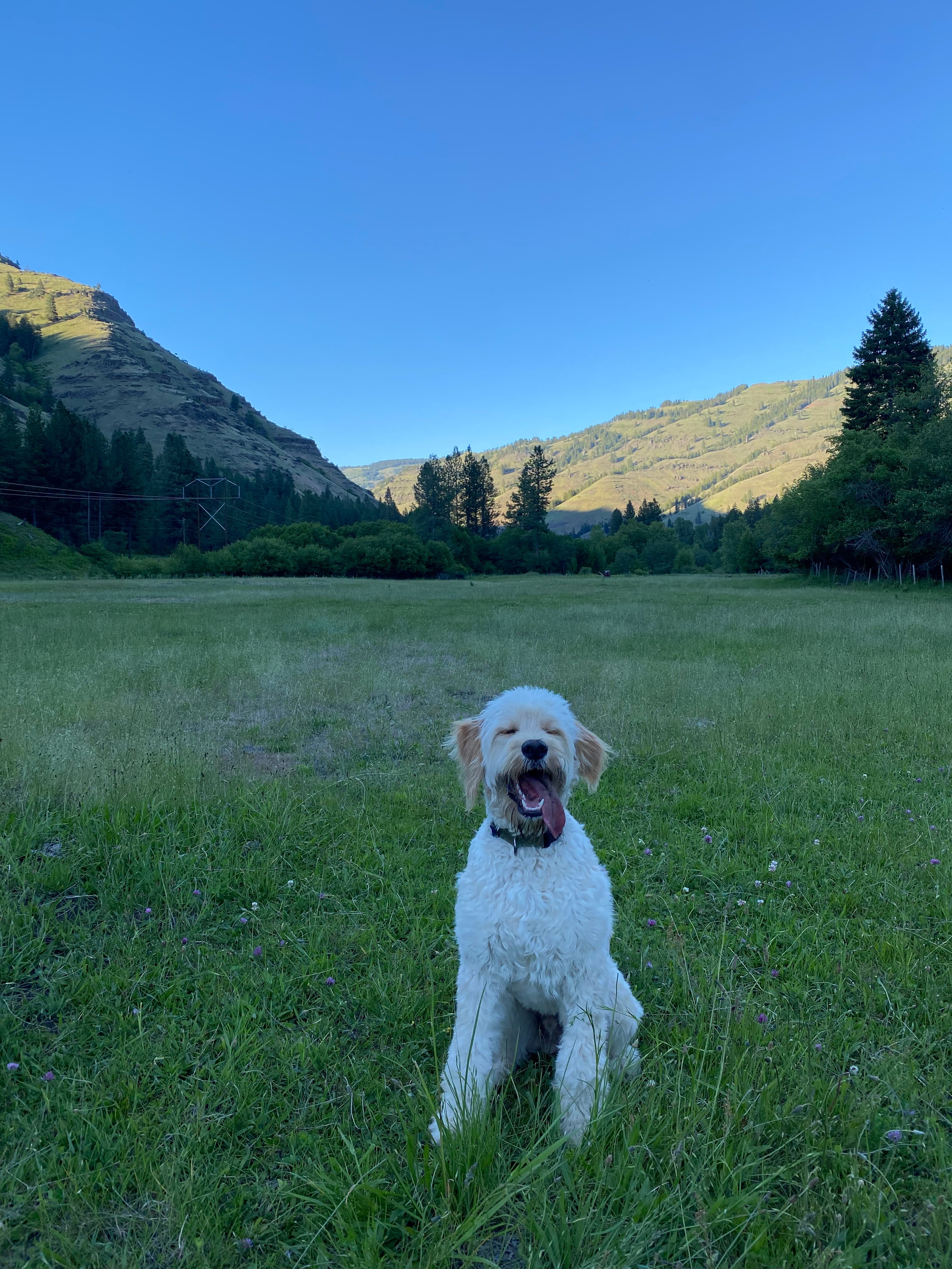 Serenity on the River