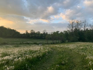 Brookside Locust Grove