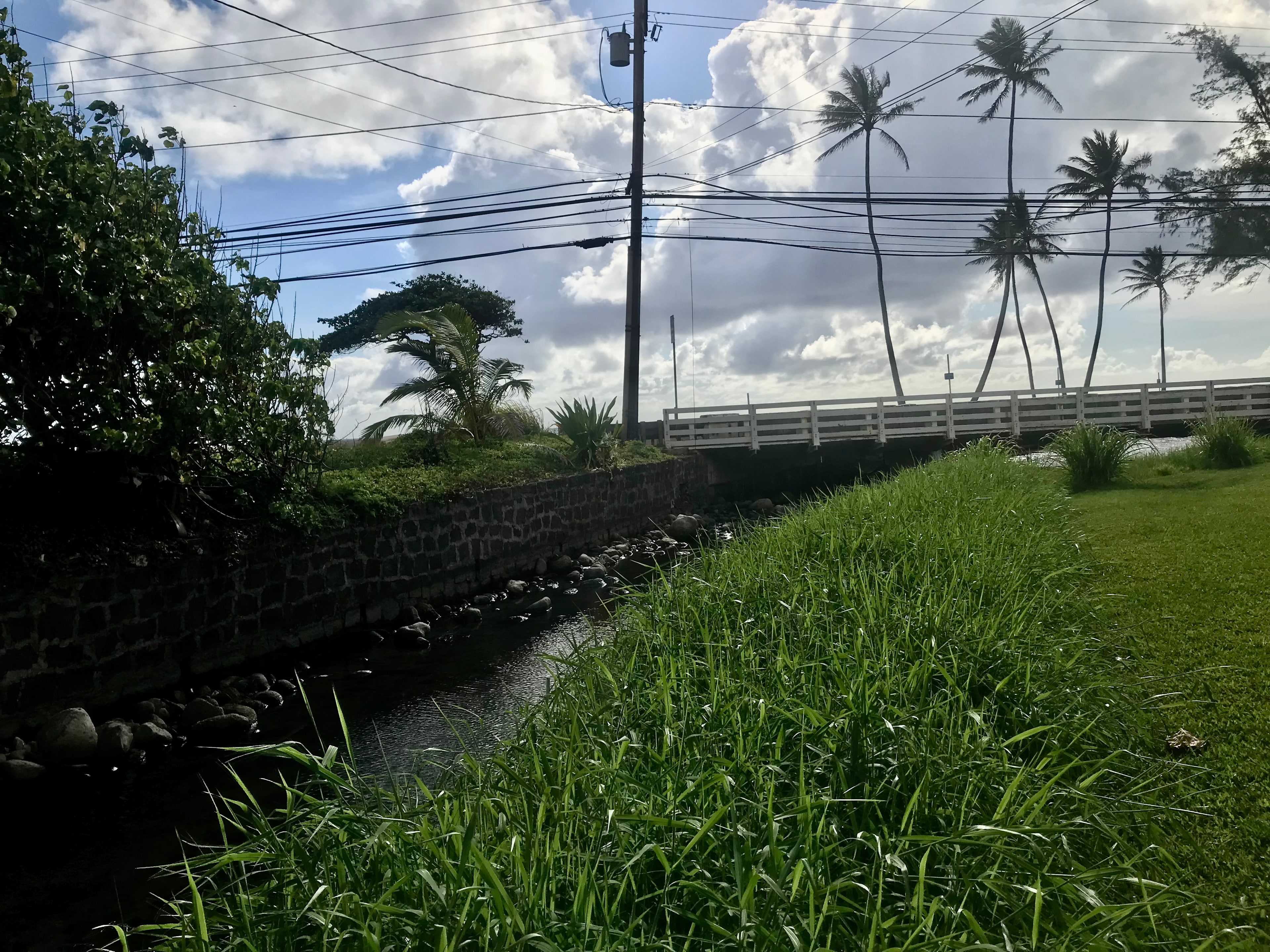 Hau'ula Homestead
