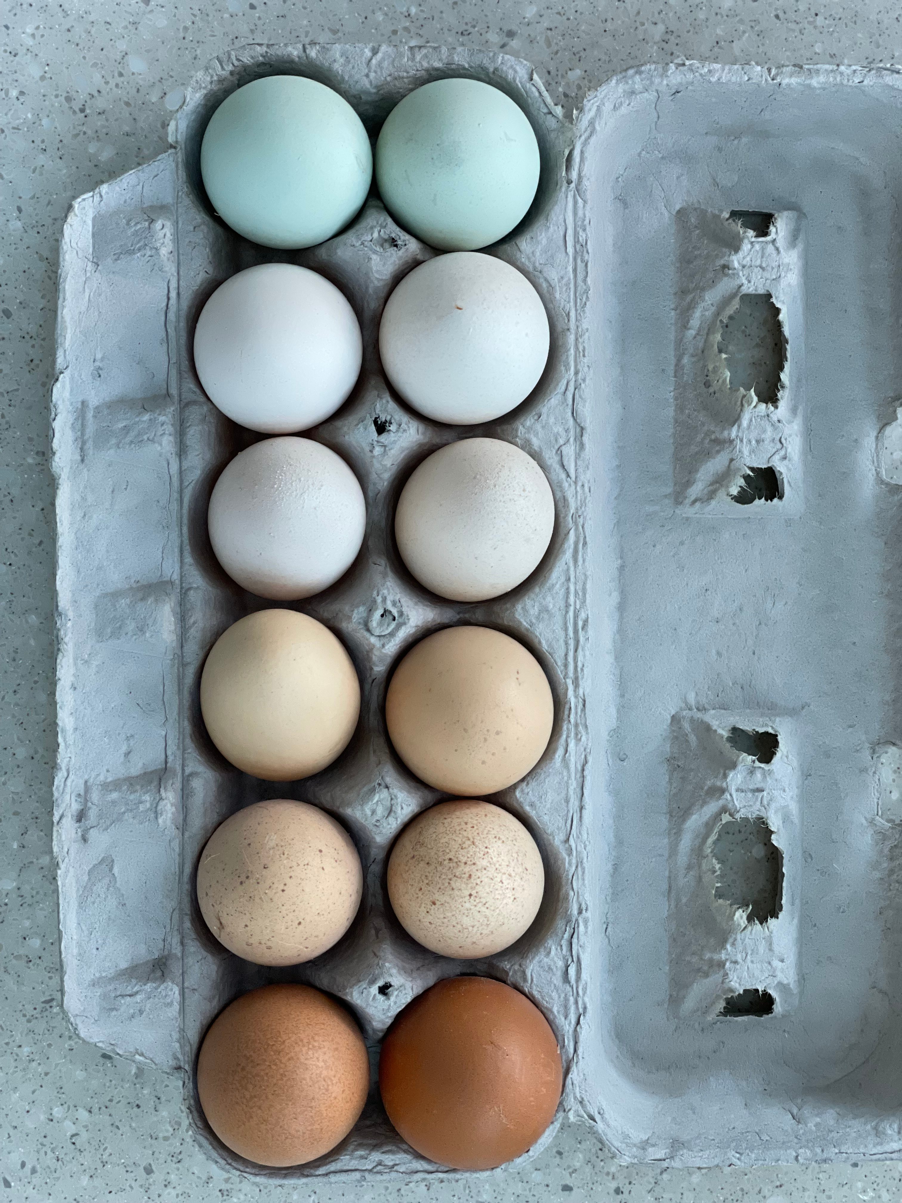 Our Rainbow Eggs!