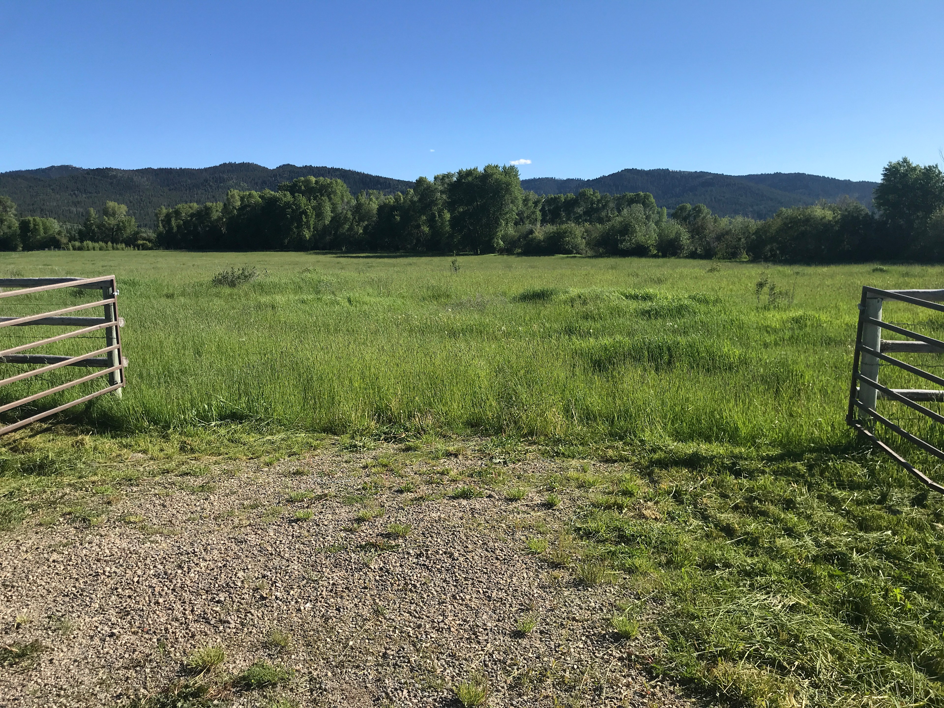 The brown gates you'll go through.  Look for the white roped off area to park in between at the front of the pasture.