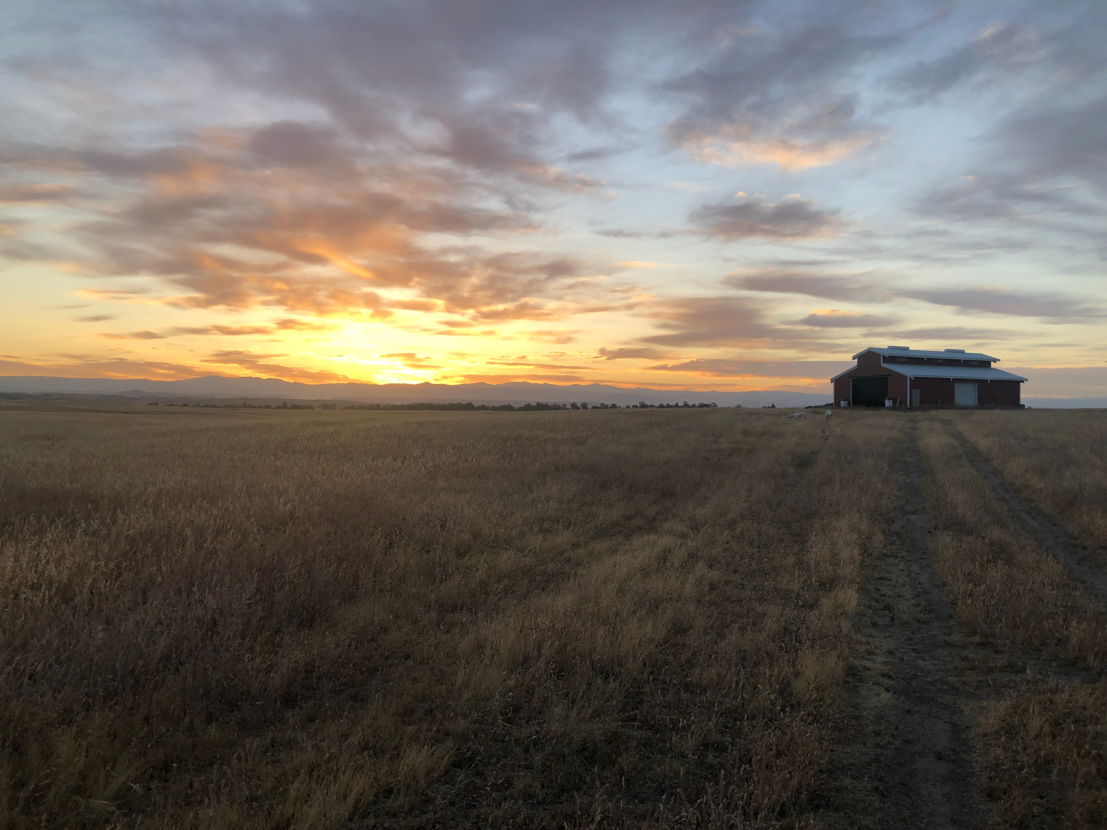 Madera,CA Countryside Ranch Camping