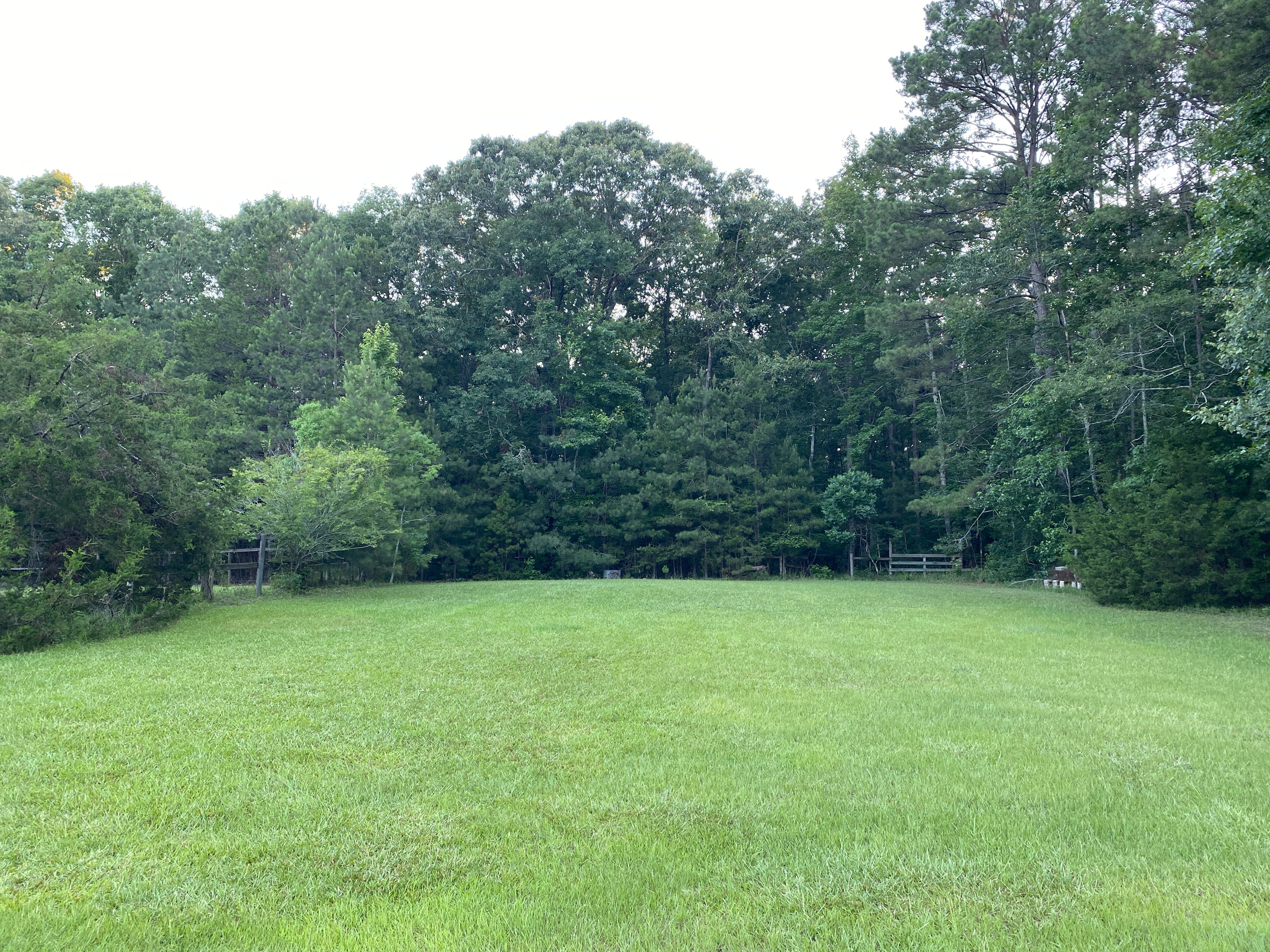Nice flat spacious area nestled into the woods.  